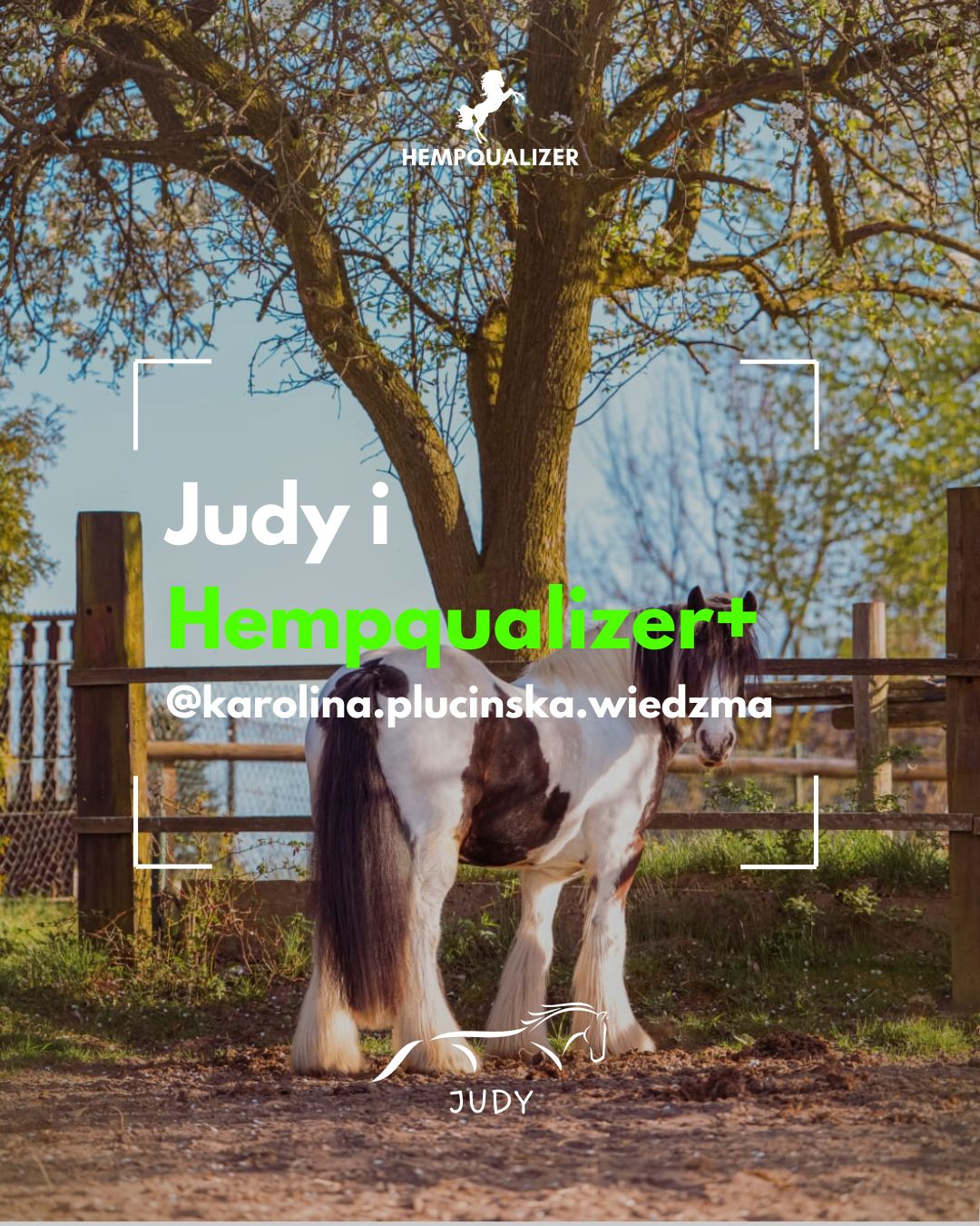 HEMPQUALIZER+ JUDY HEADSHAKING