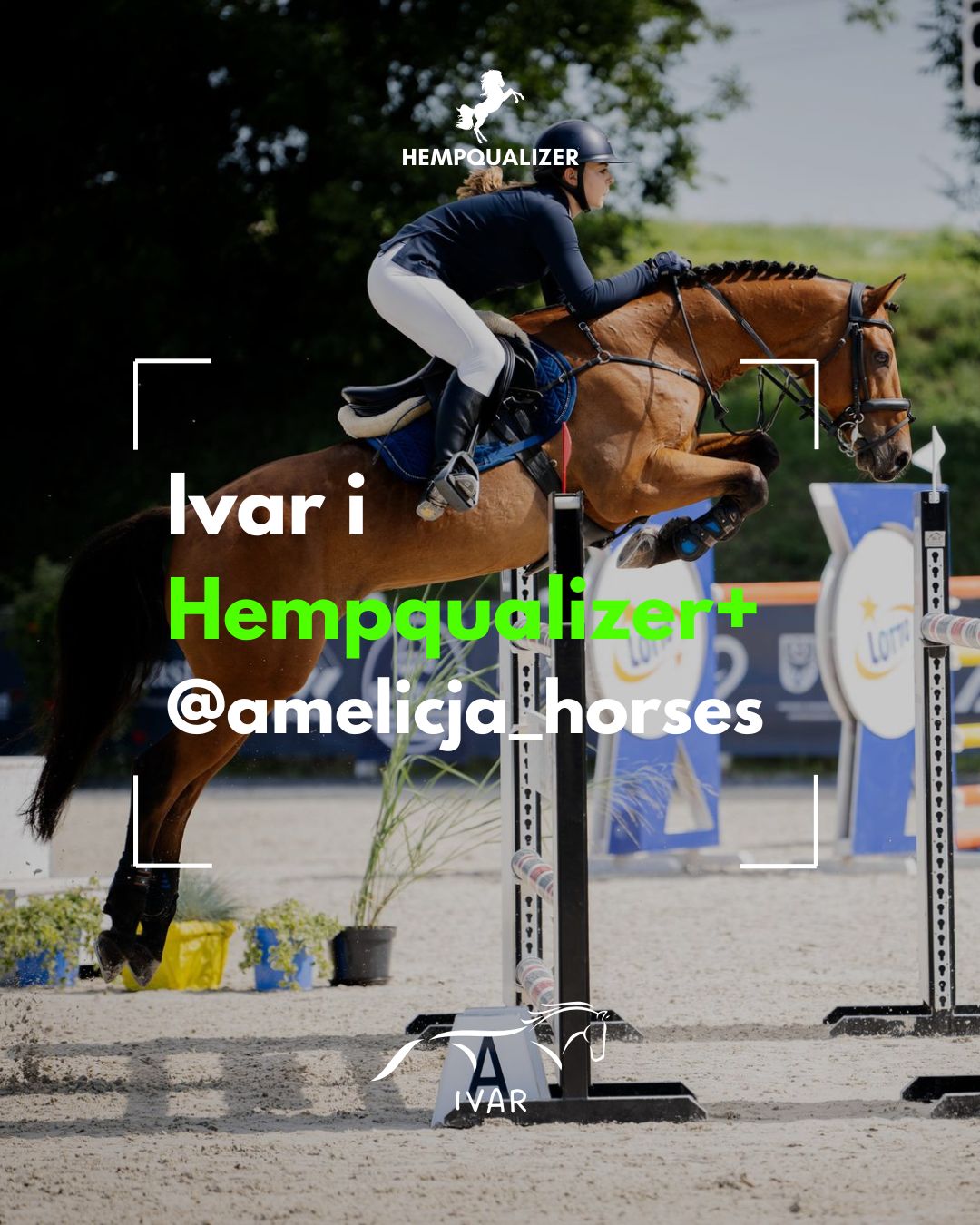 HEMPQUALIZER+ IVAR RAO/WRZODY/STANY ZAPALNE