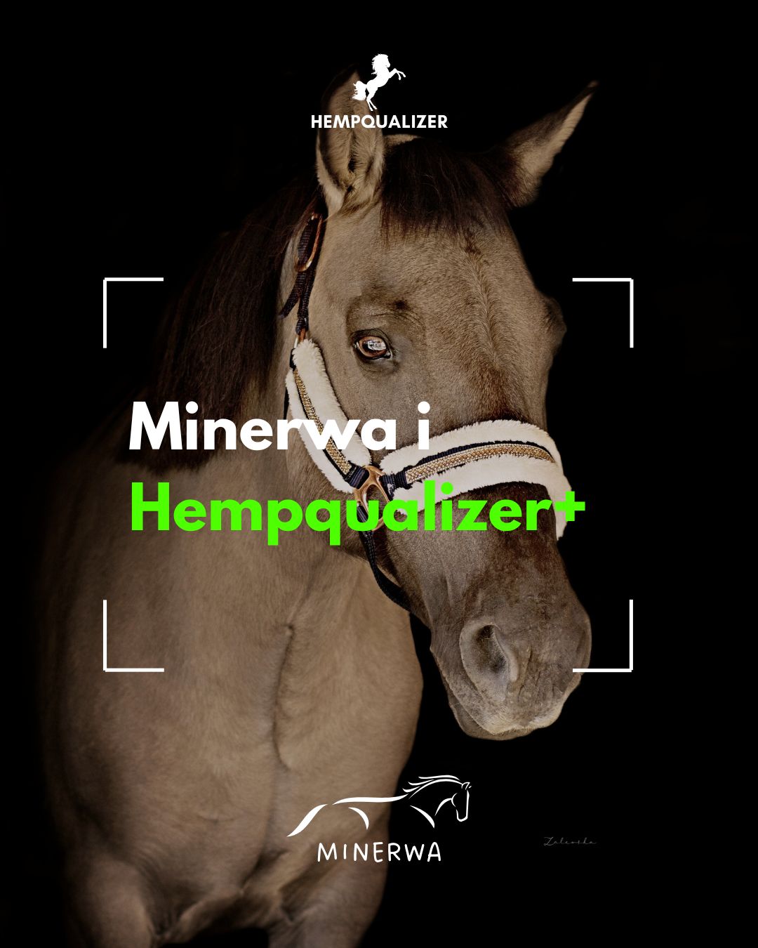 HEMPQUALIZER+ MINERWA ASTMA/USPOKOJENIE