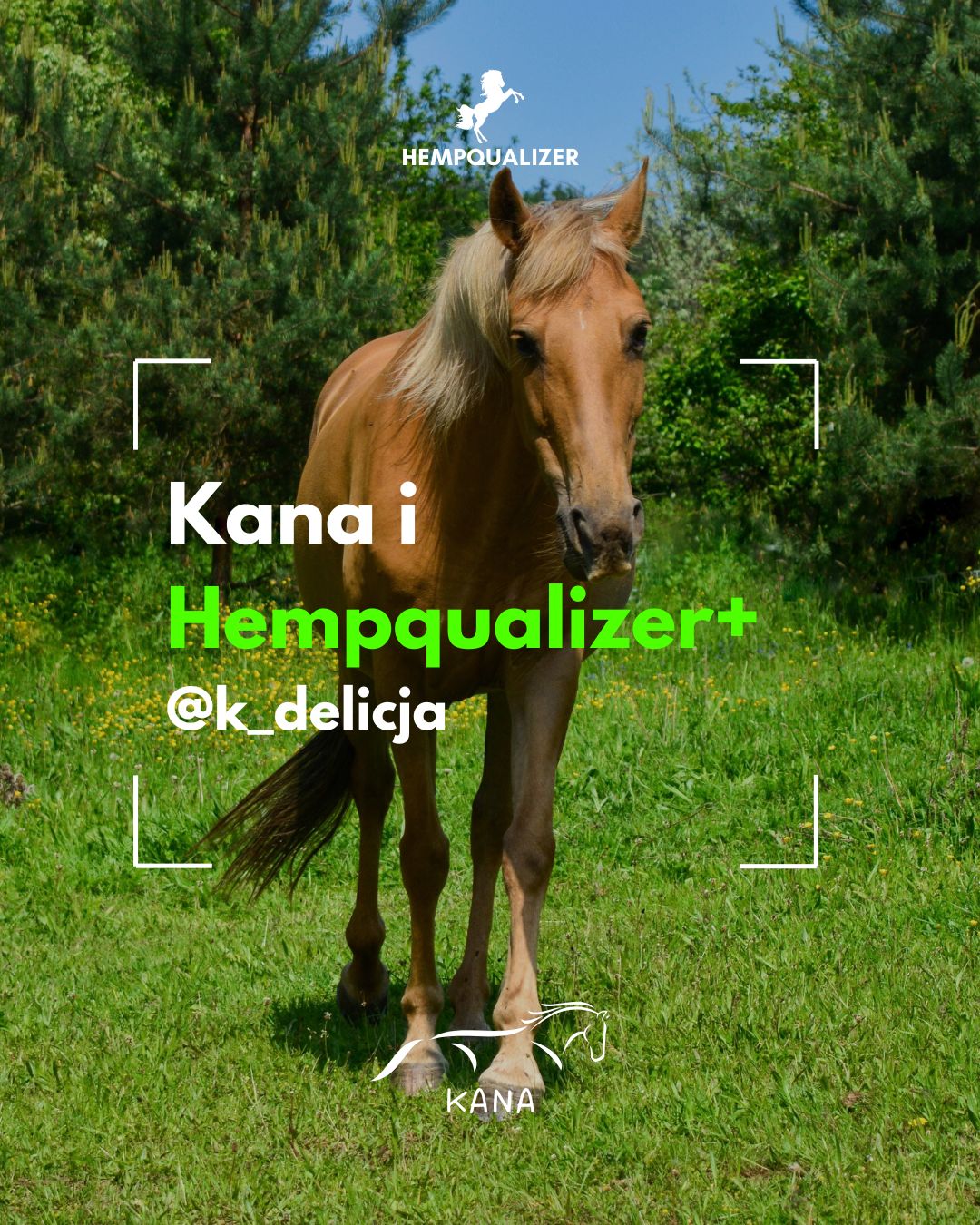 HEMPQUALIZER+ KANA USPOKOJENIE KASZEL