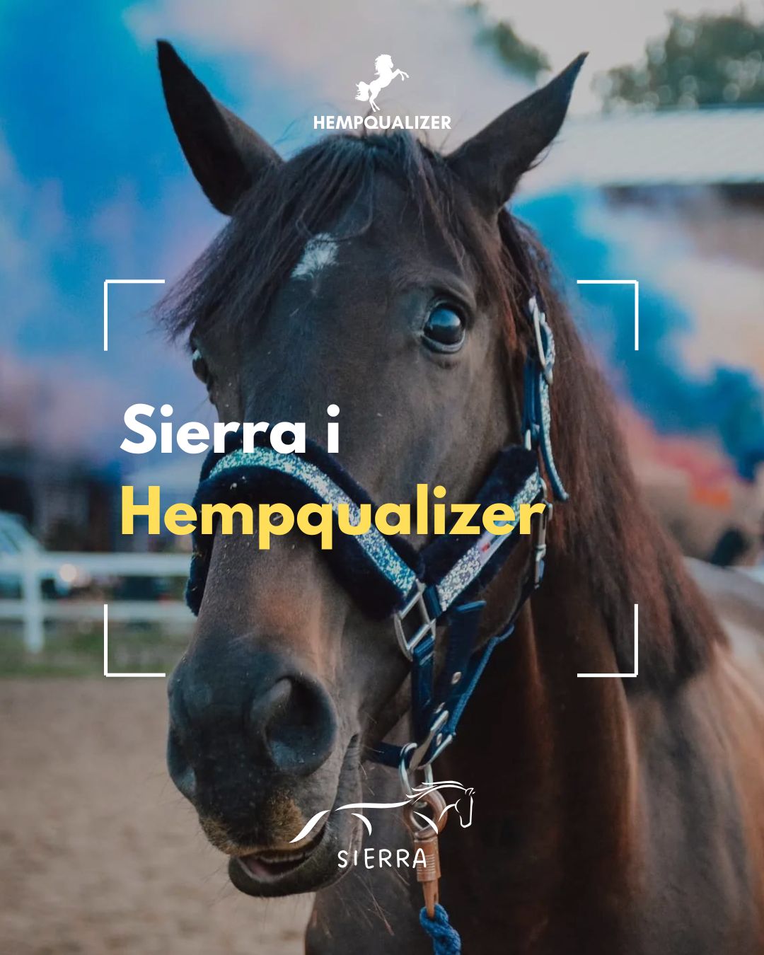 HEMPQUALIZER SIERRA USPOKOJENIE