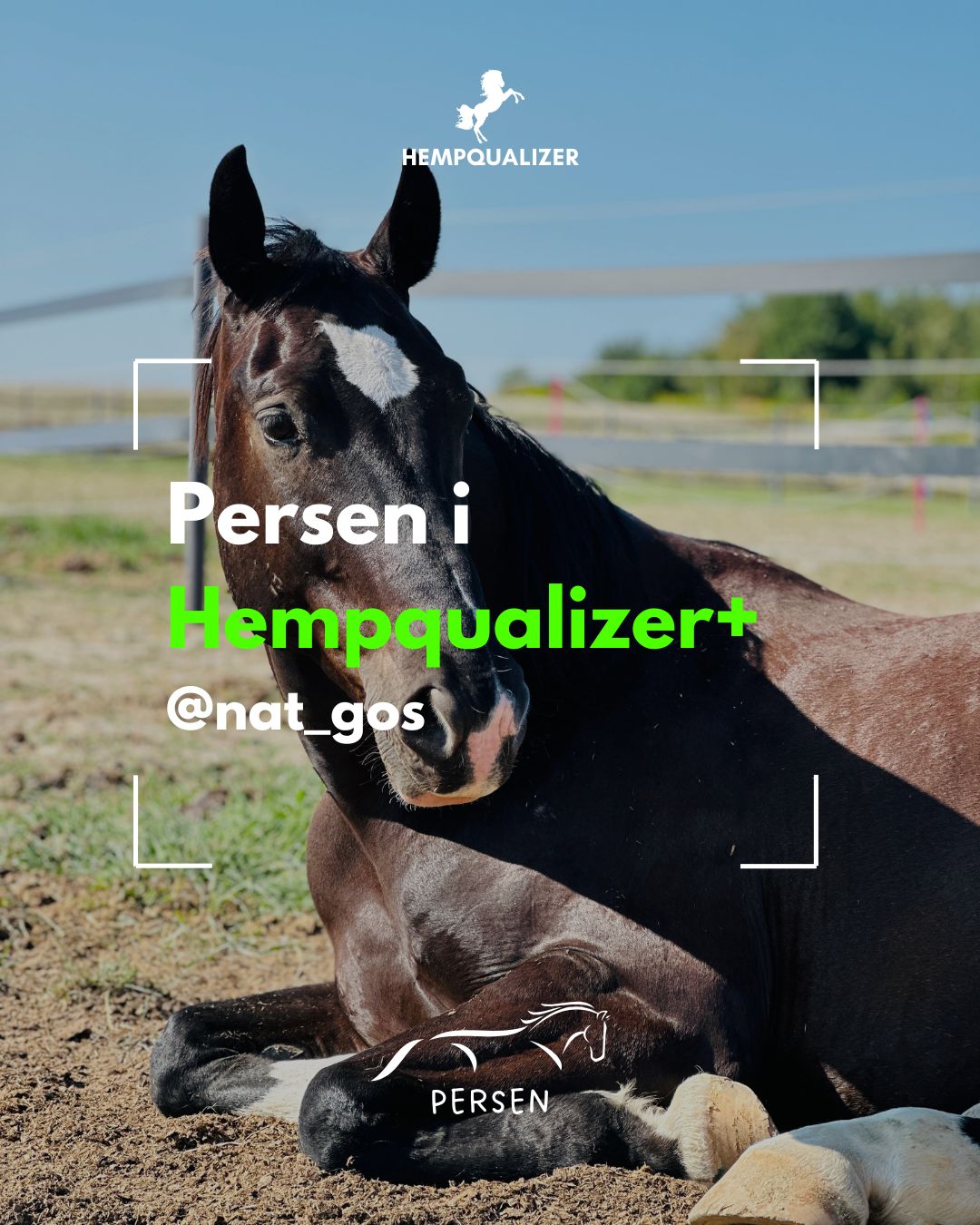 HEMPQUALIZER+ PERSEN USPOKOJENIE/WOBBLER