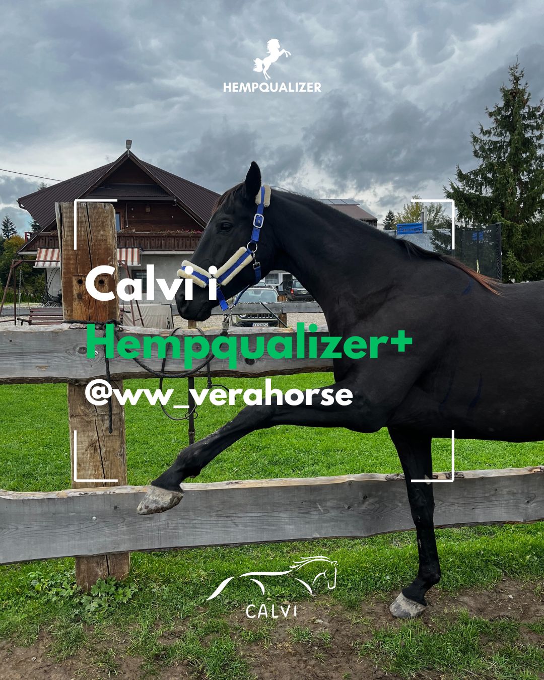 HEMPQUALIZER+ CALVI USPOKOJENIE