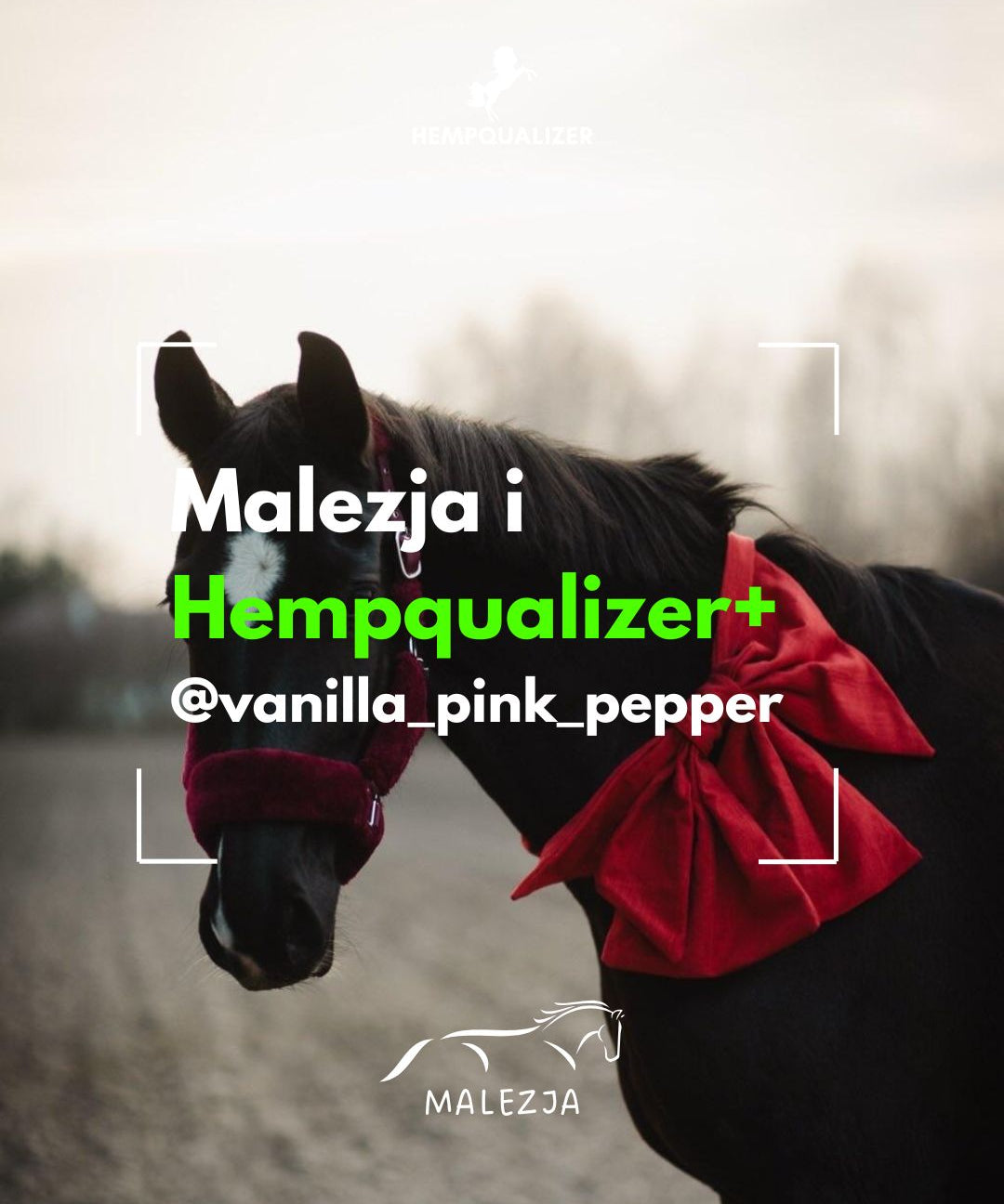 HEMPQUALIZER+ MALEZJA USPOKOJENIE