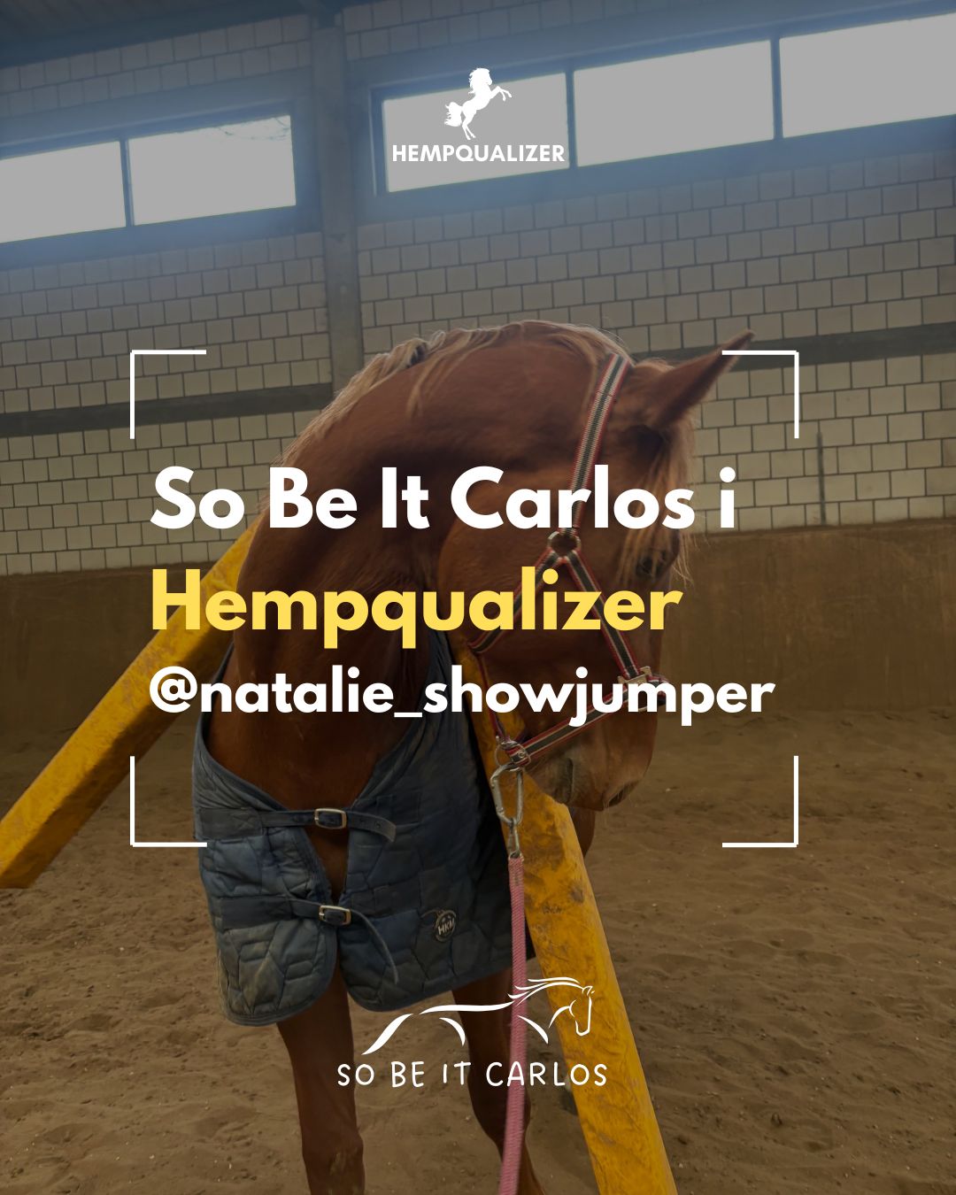 HEMPQUALIZER CARLOS USPOKOJENIE