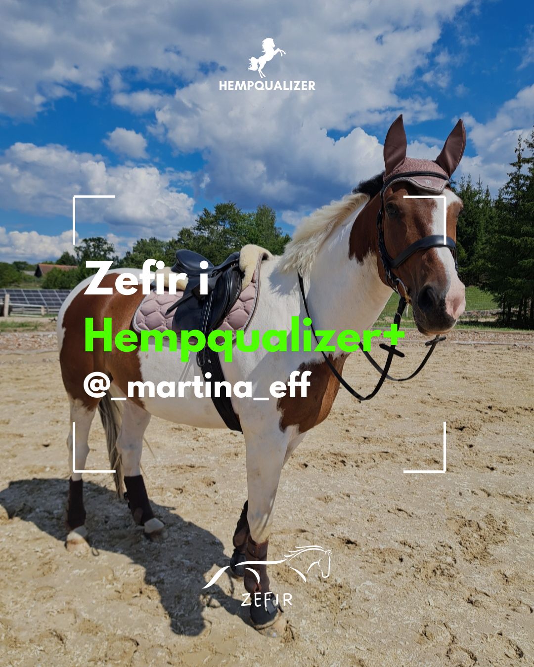 HEMPQUALIZER+ ZEFIR USPOKOJENIE/STAN ZAPALNY