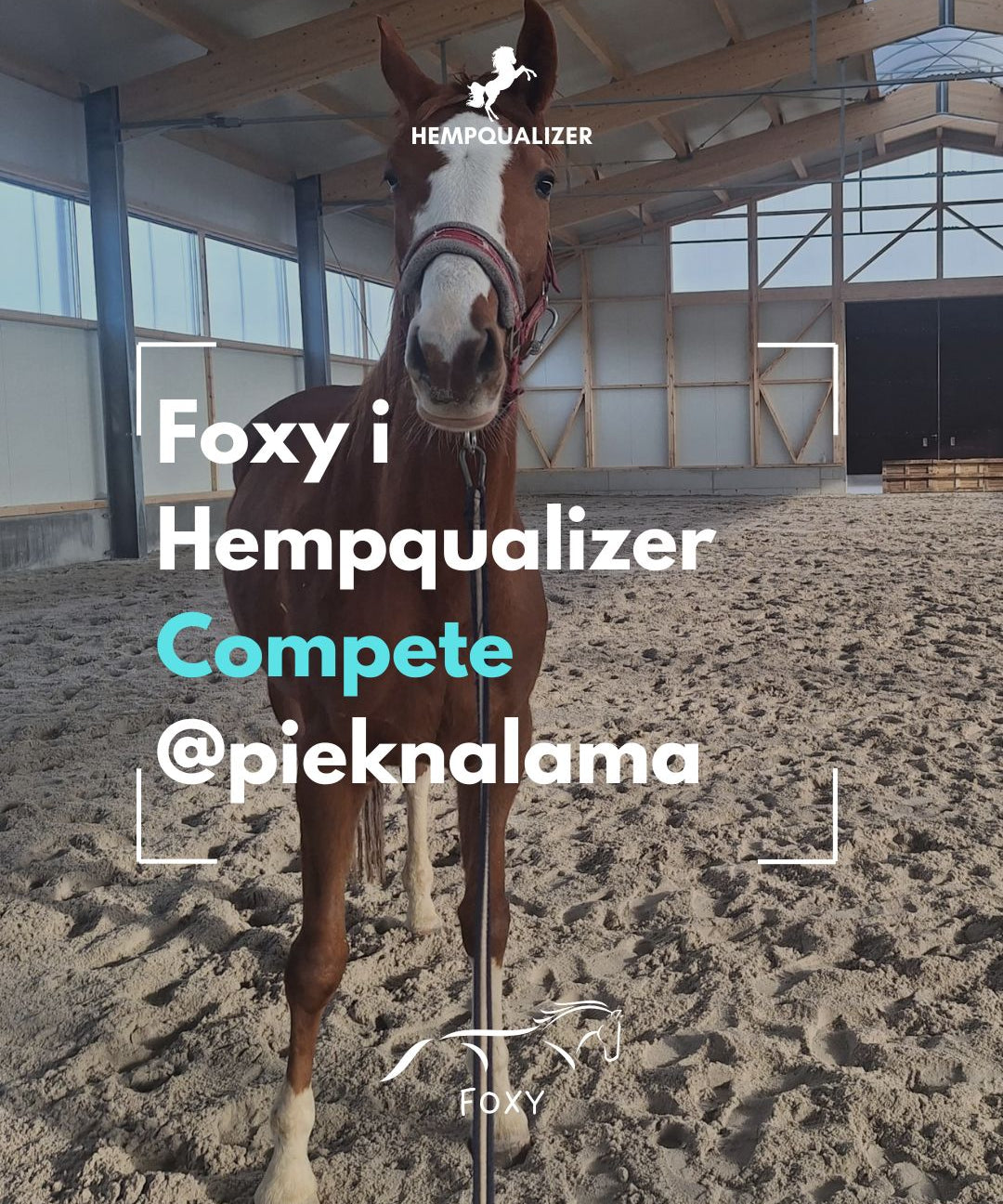 HEMPQUALIZER COMPETE FOXY USPOKOJENIE