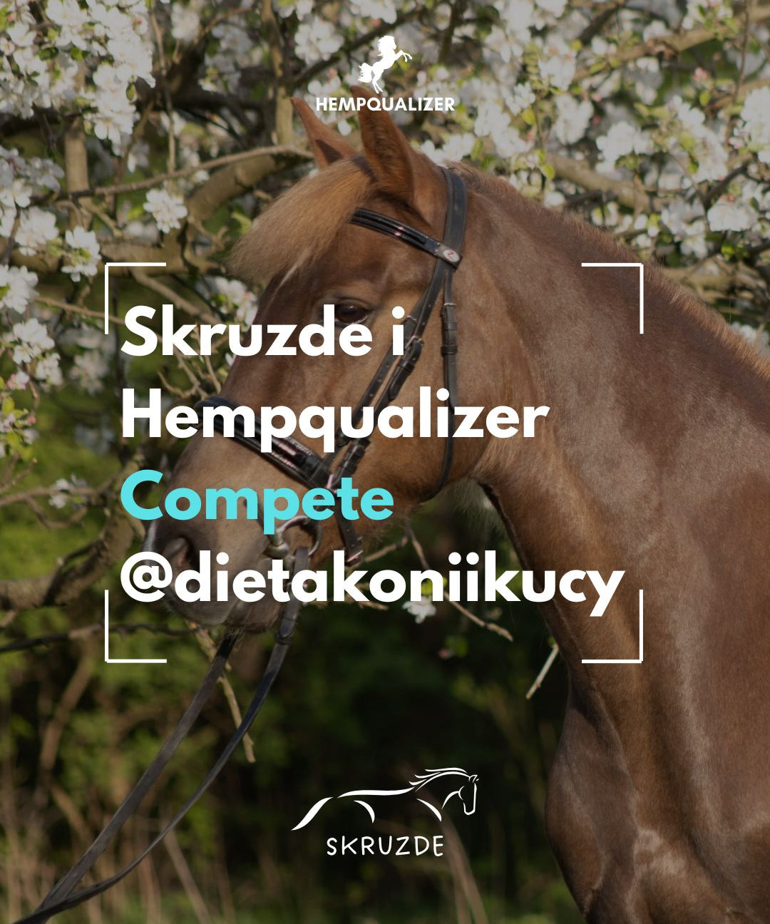 HEMPQUALIZER COMPETE SKRUZDE USPOKOJENIE