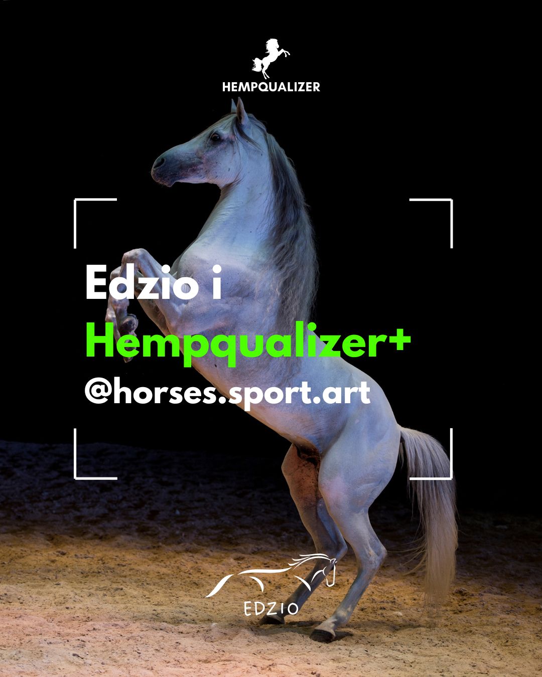 HEMPQUQALIZER+ EDZIO USPOKOJENIE