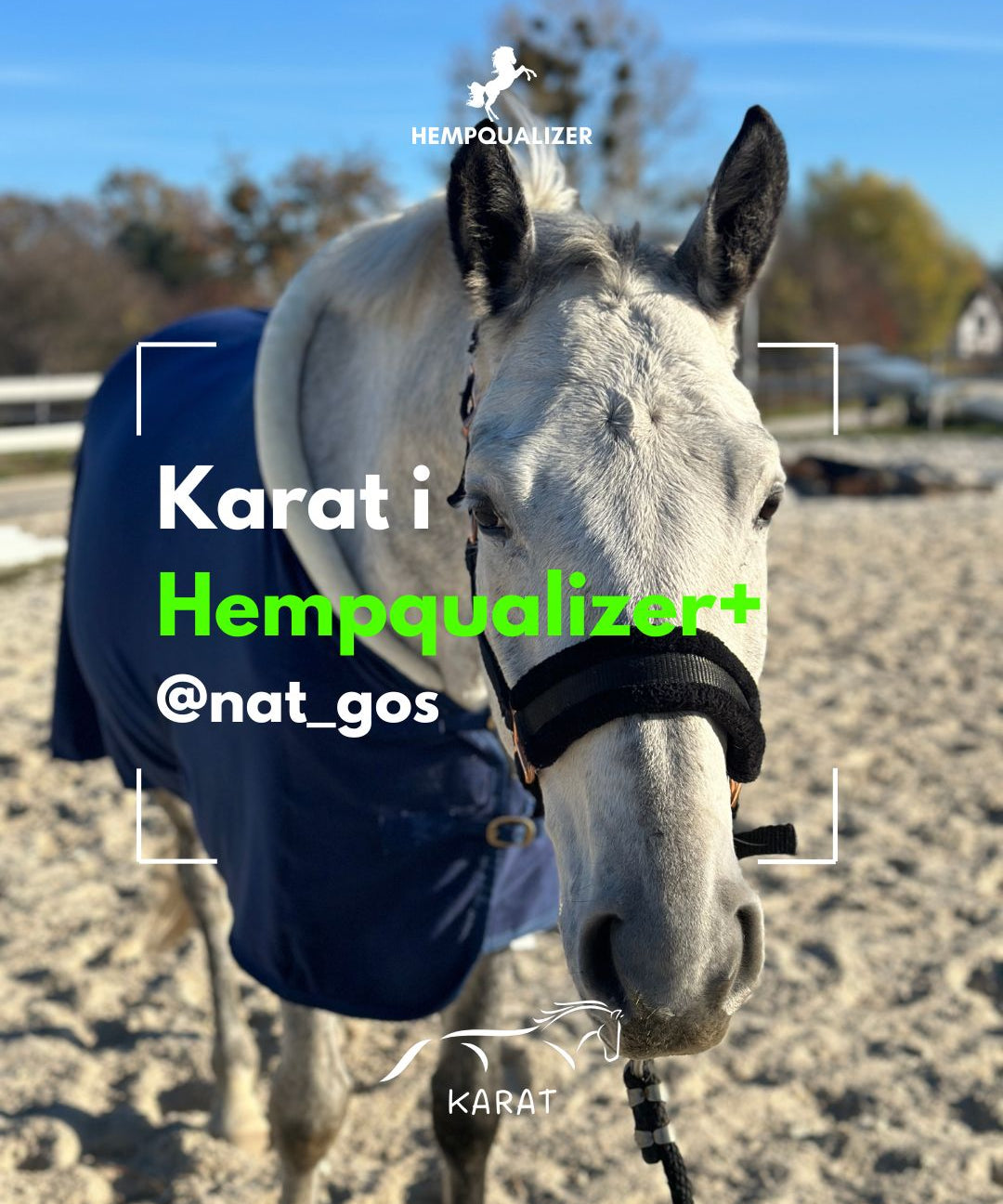 HEMPQUALIZER+ KARAT USPOKOJENIE