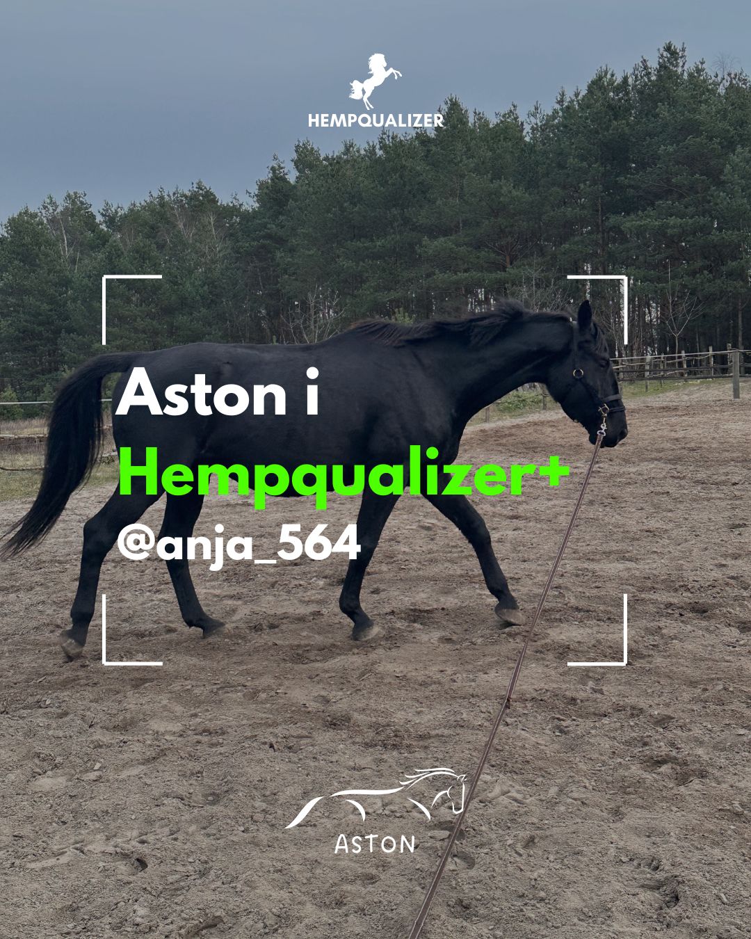 HEMPQUALIZER+ ASTON USPOKOJENIE