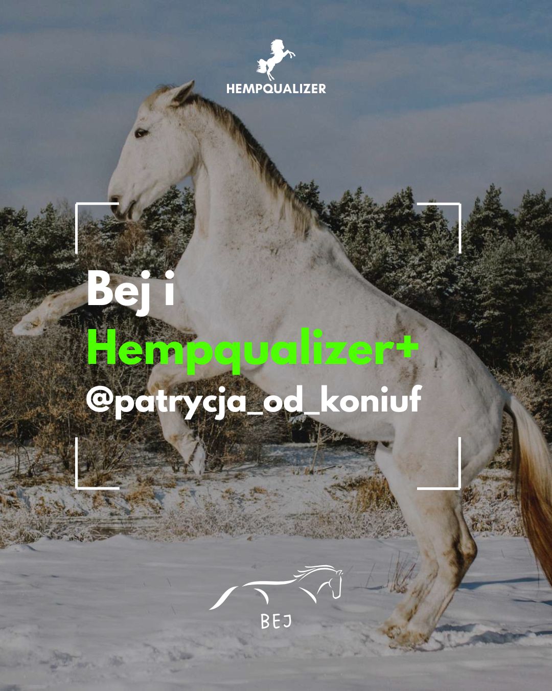 HEMPQUALIZER+ BEJ RAO