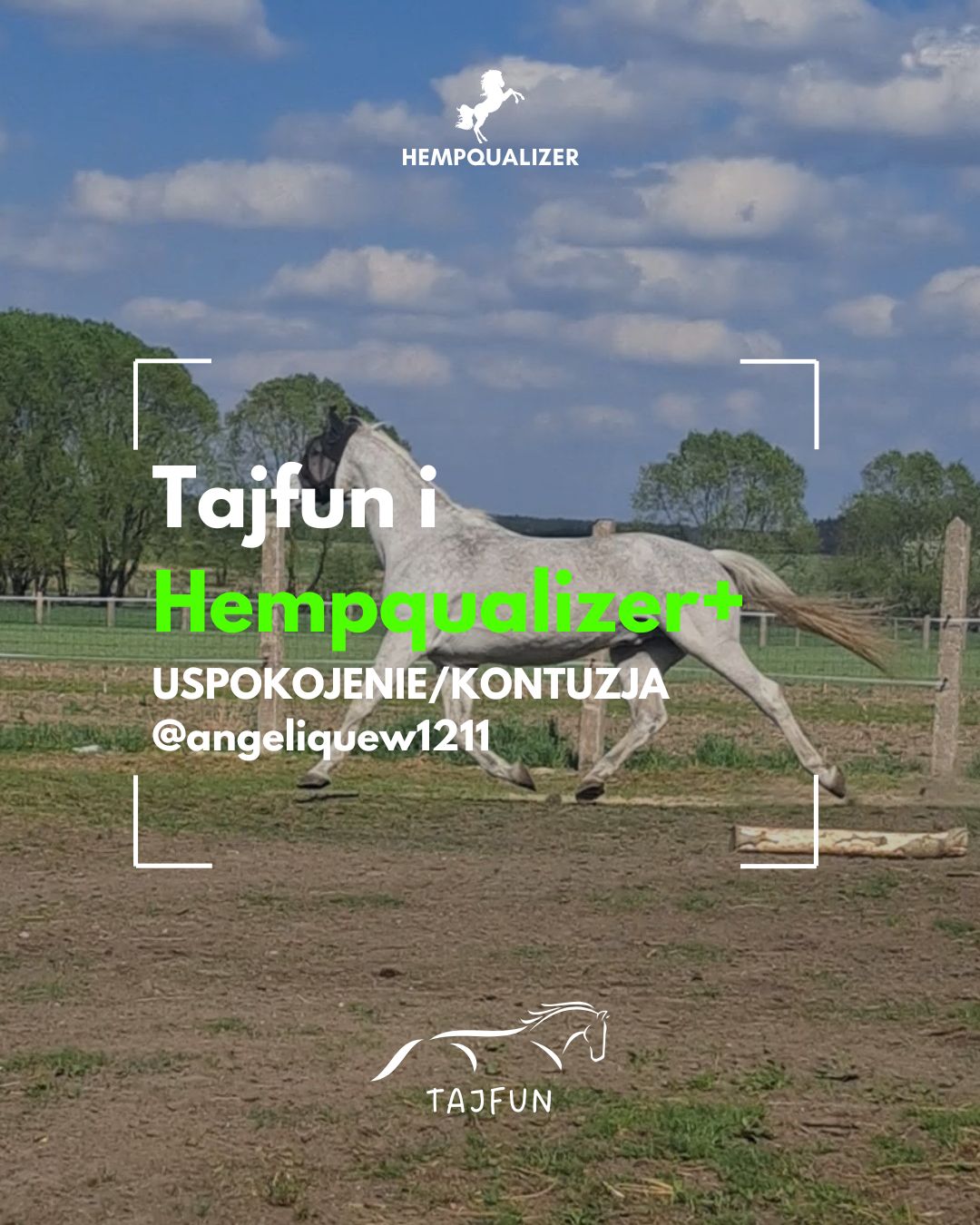 HEMPQUALIZER+ TAJFUN USPOKOJENIE/KONTUZJA