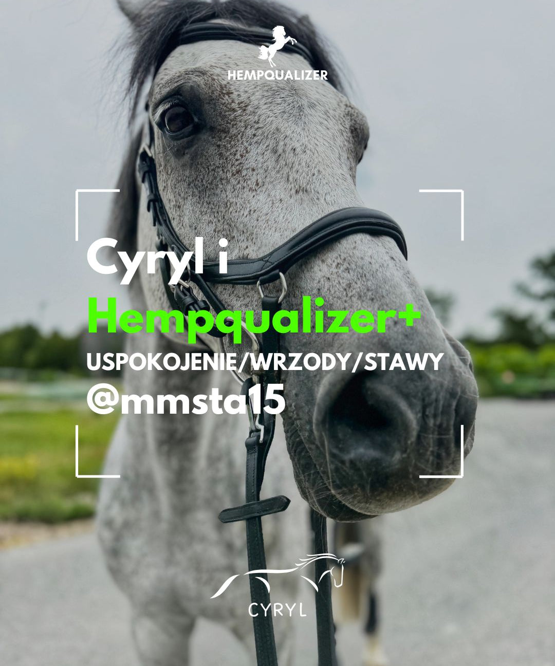 HEMPQUALIZER+ CYRYL USPOKOJENIE/WRZODY/STAWY