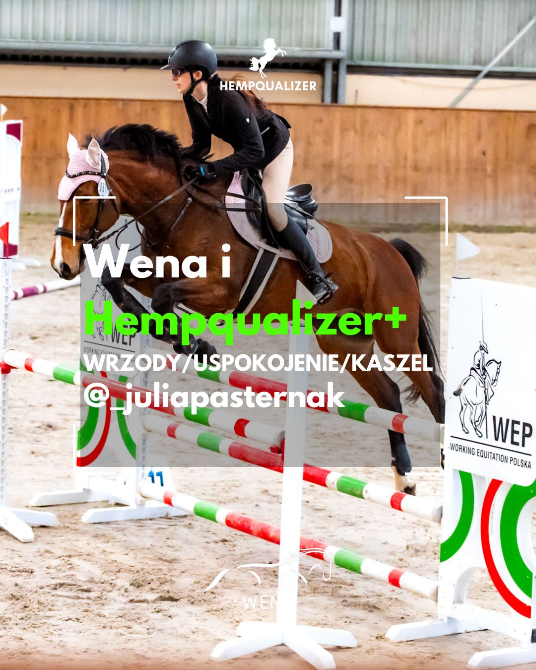 HEMPQUALIZER+ WENA WRZODY/KASZEL/USPOKOJENIE