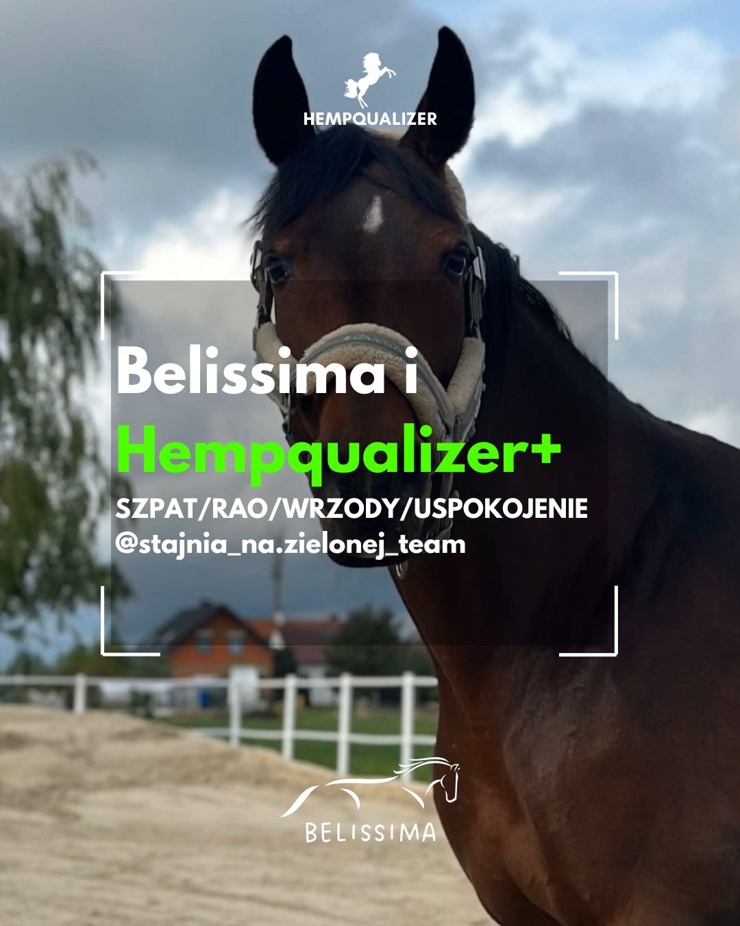 HEMPQUALIZER+ BELISSIMA SZPAT/RAO/WRZODY/USPOKOJENIE