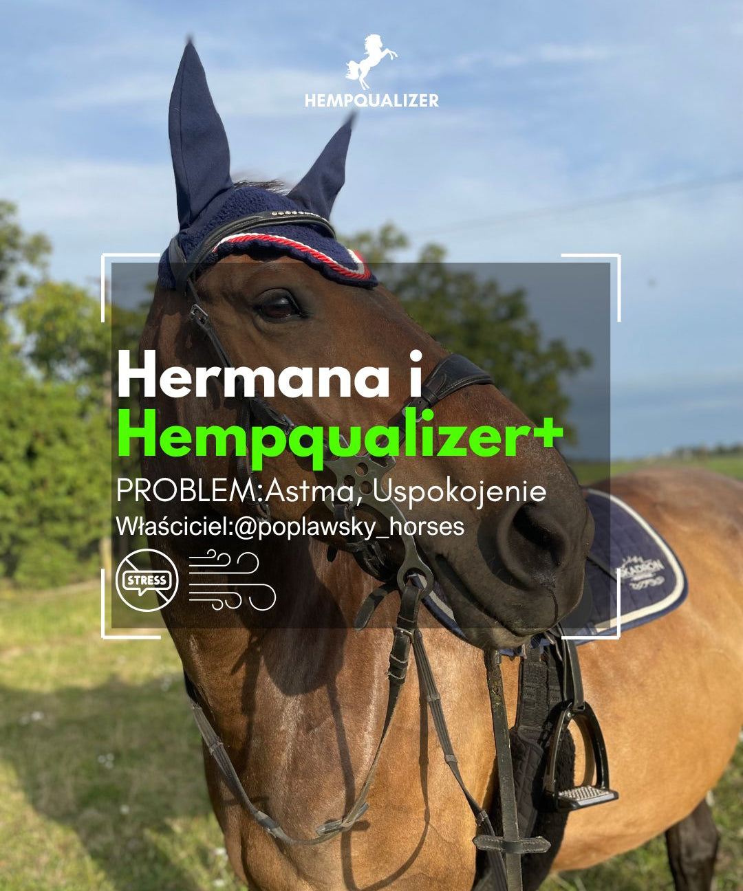 HERMANA HEMPQUALIZER+ ASTMA/USPOKOJENIE