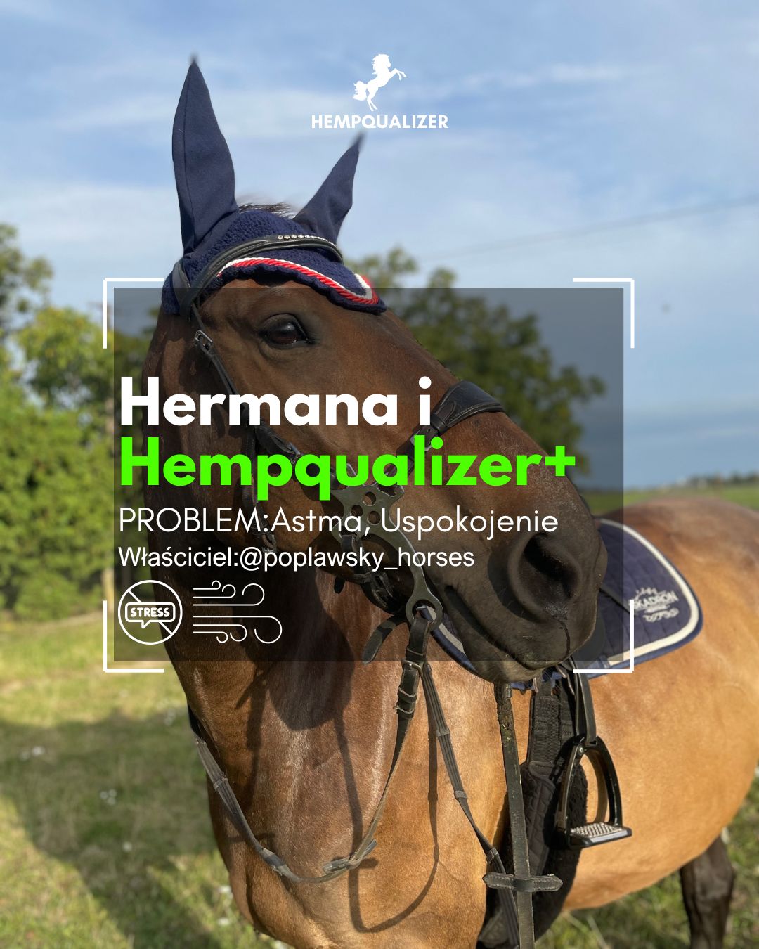 HERMANA HEMPQUALIZER+ ASTMA/USPOKOJENIE