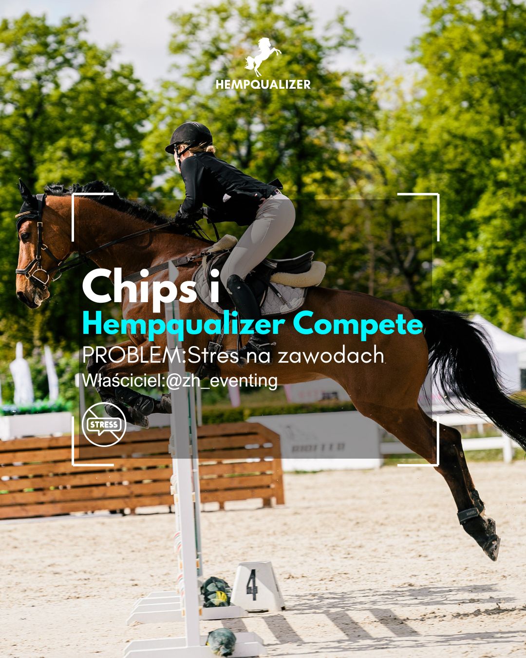 HEMPQUALIZER COMPETE CHIPS USPOKOJENIE