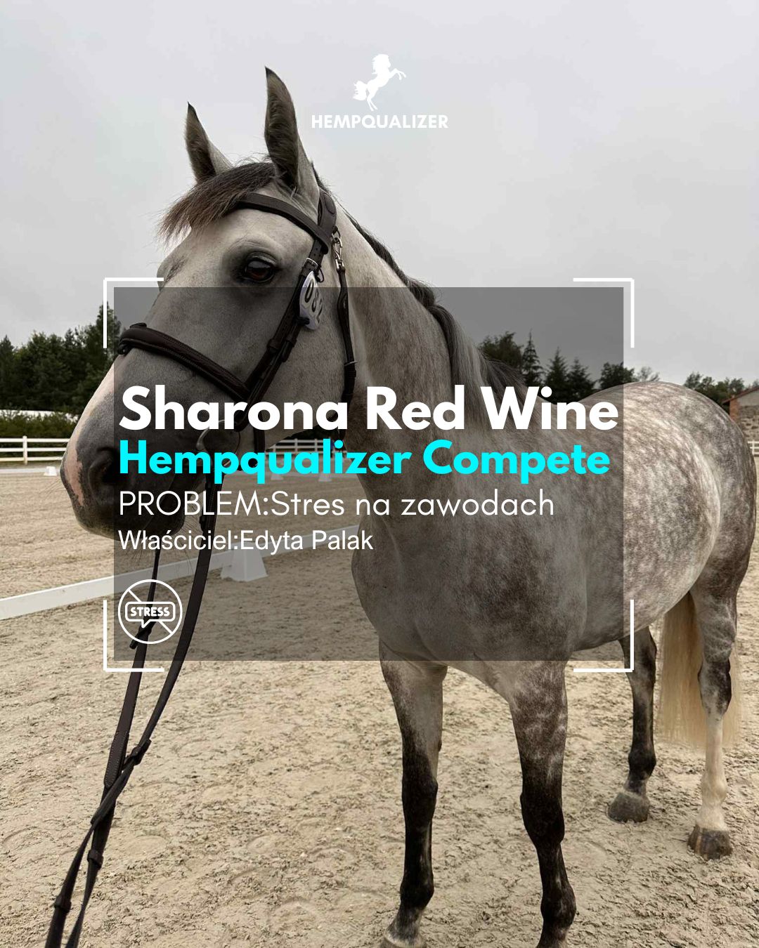 SHARONA HEMPQUALIZER COMPETE STRES NA ROZPRĘŻALNI