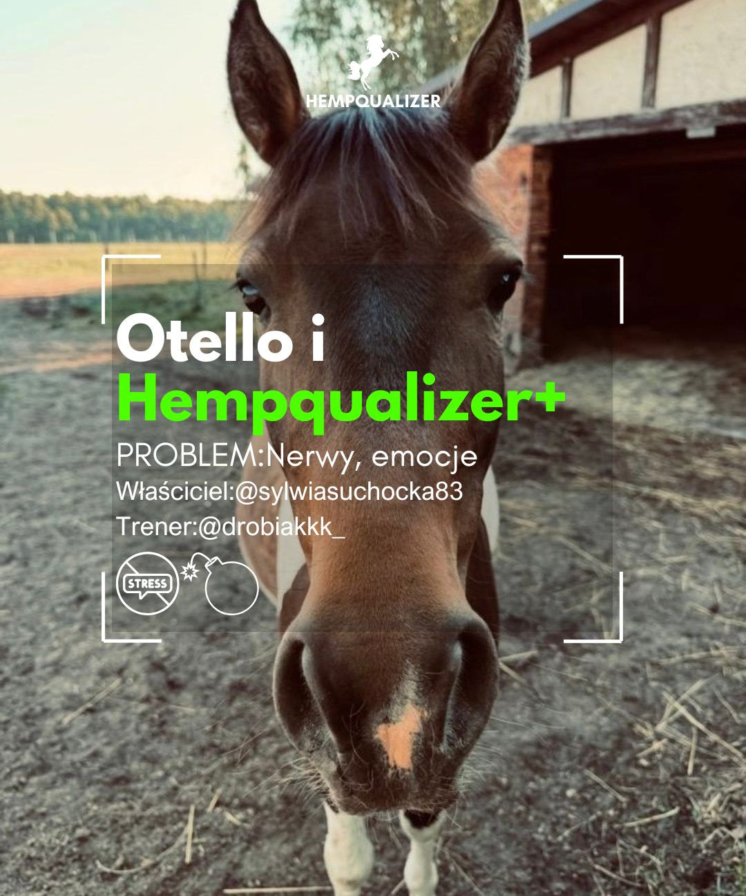 HEMPQUALIZER+ OTELLO USPOKOJENIE