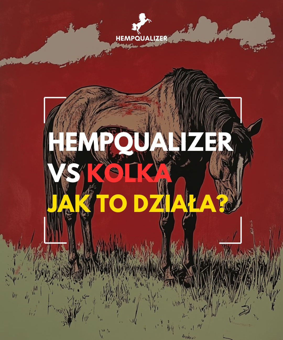 Dlaczego Hempqualizer może pomagać przy kolce u koni?