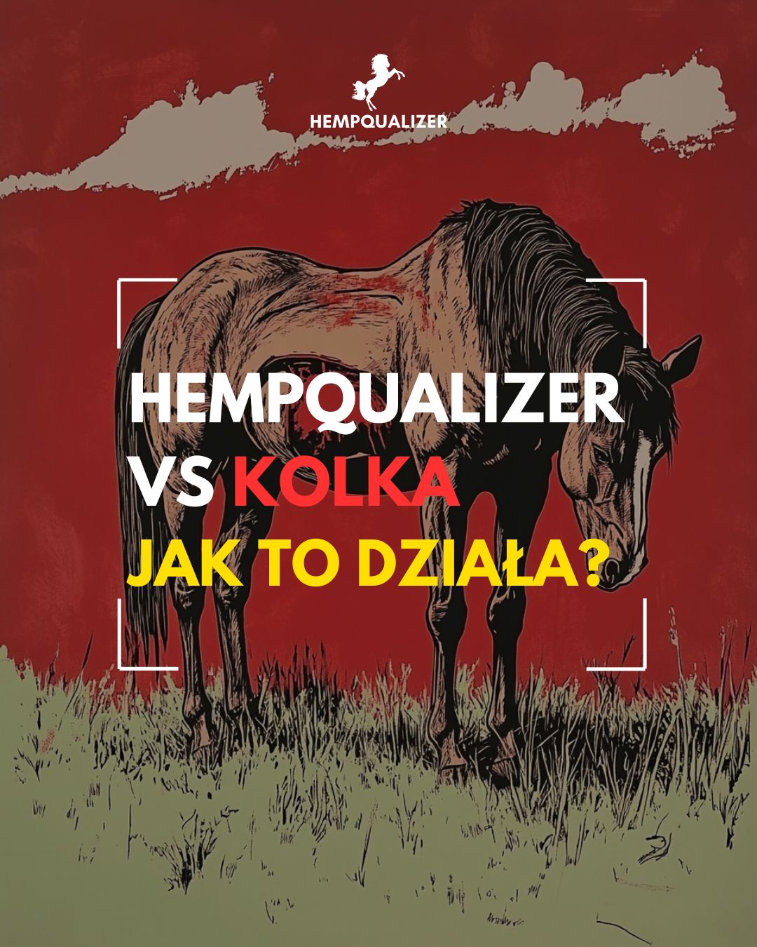Dlaczego Hempqualizer może pomagać przy kolce u koni?