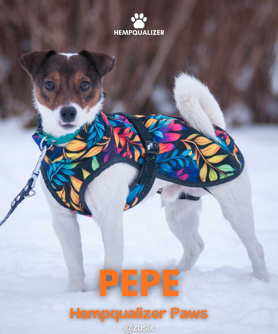 HEMPQUALIZER PAWS: PEPE