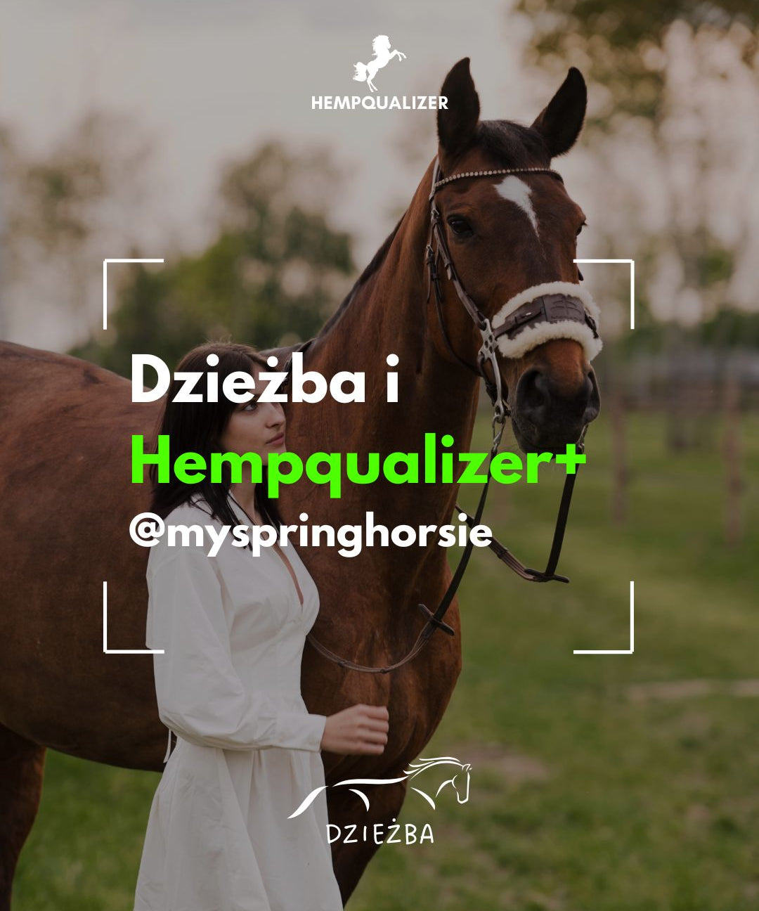 HEMPQUALIZER+ DZIEŻBA USPOKOJENIE