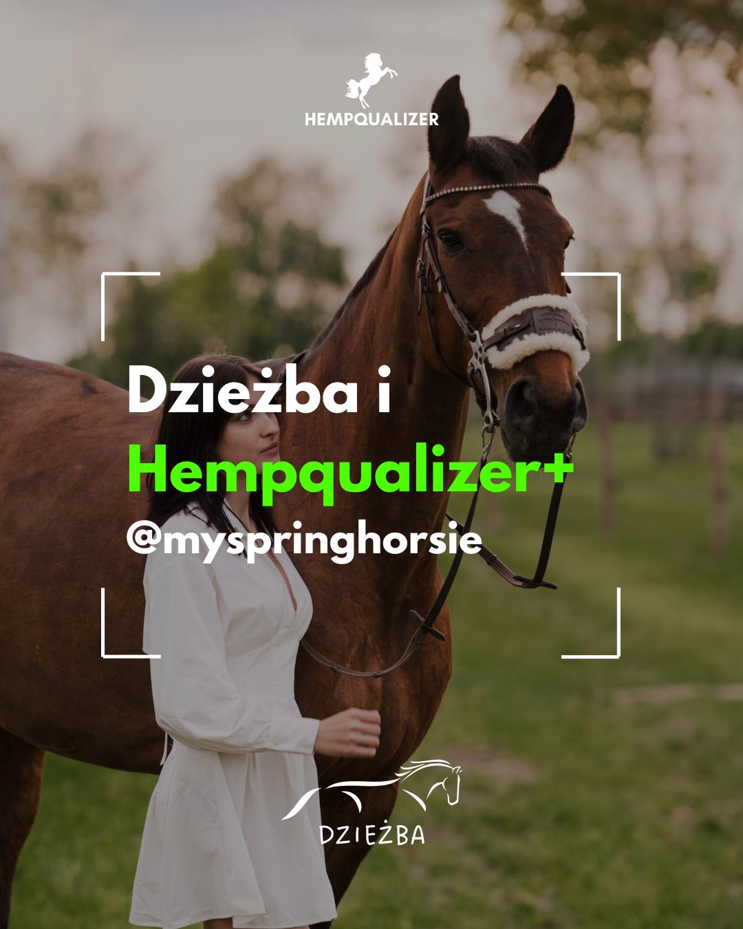 HEMPQUALIZER+ DZIEŻBA USPOKOJENIE