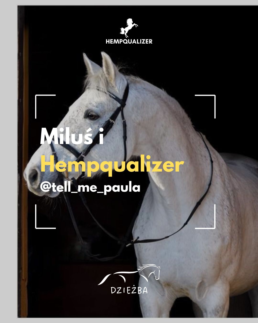 HEMPQUALIZER MILUŚ USPOKOJENIE
