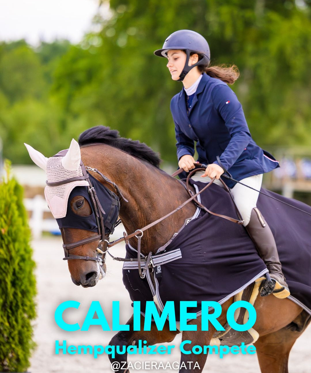 HEMPQUALIZER COMPETE: CALIMERO