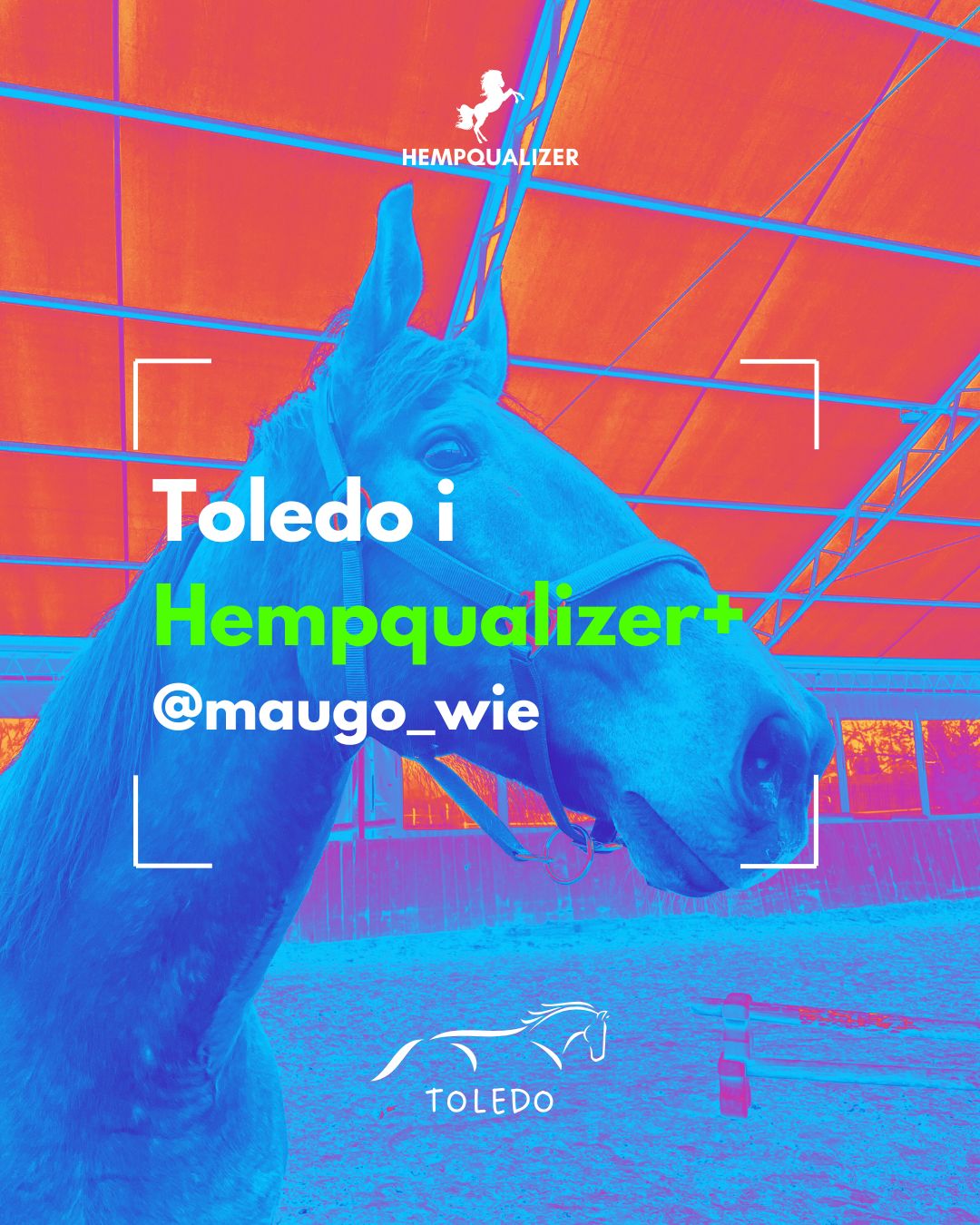 HEMPQUALIZER+ TOLEDO USPOKOJENIE
