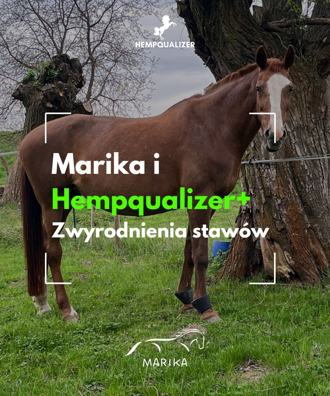 HEMPQUALIZER+ MARIKA ZWYRODNIENIA STAWÓW