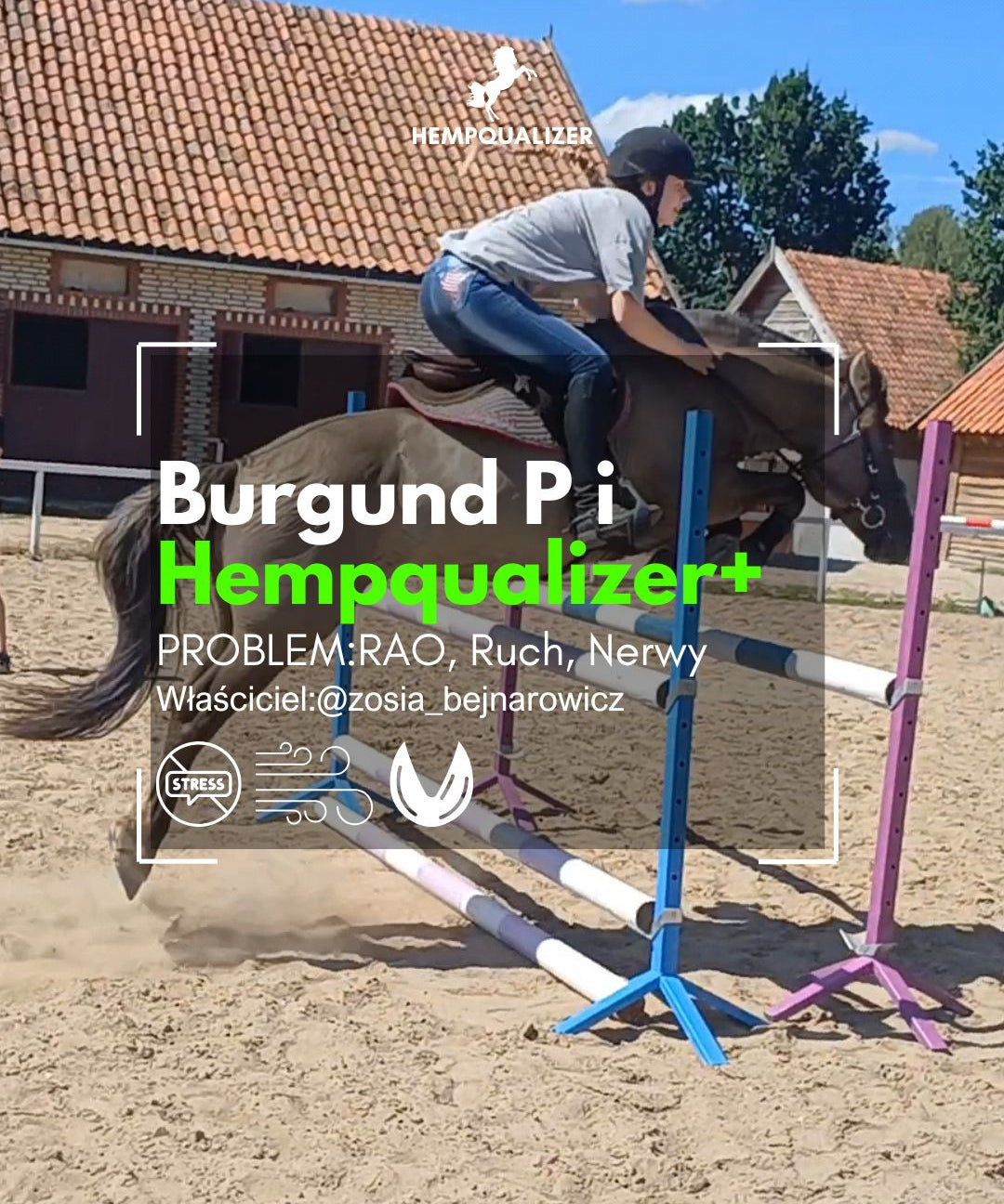 HEMPQUALIZER+ BURGUND P RAO/USPOKOJENIE/POPRAWA RUCHU