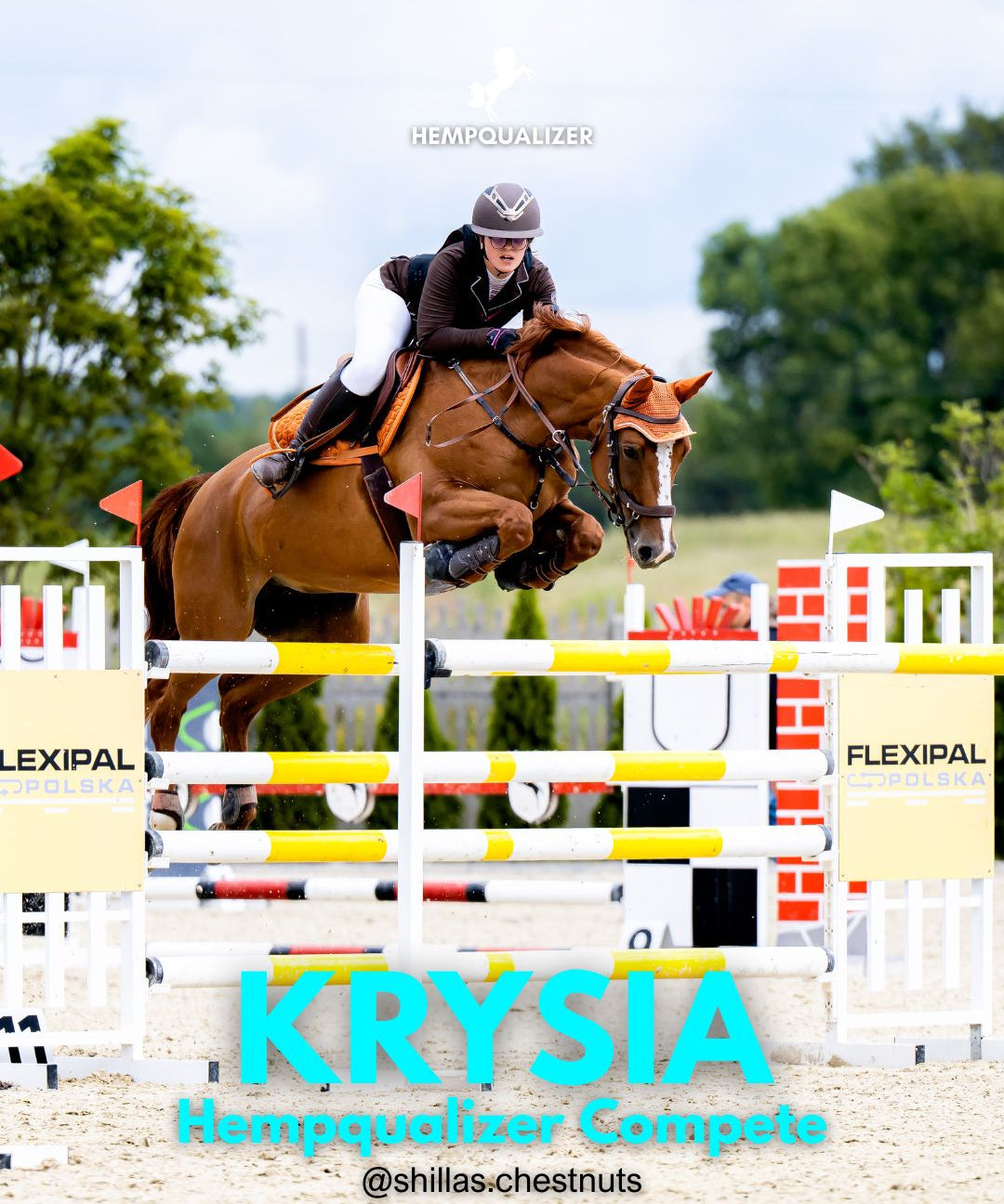 HEMPQUALIZER COMPETE K3 VAN DE ZEILHOEK USPOKOJENIE NA ZAWODACH