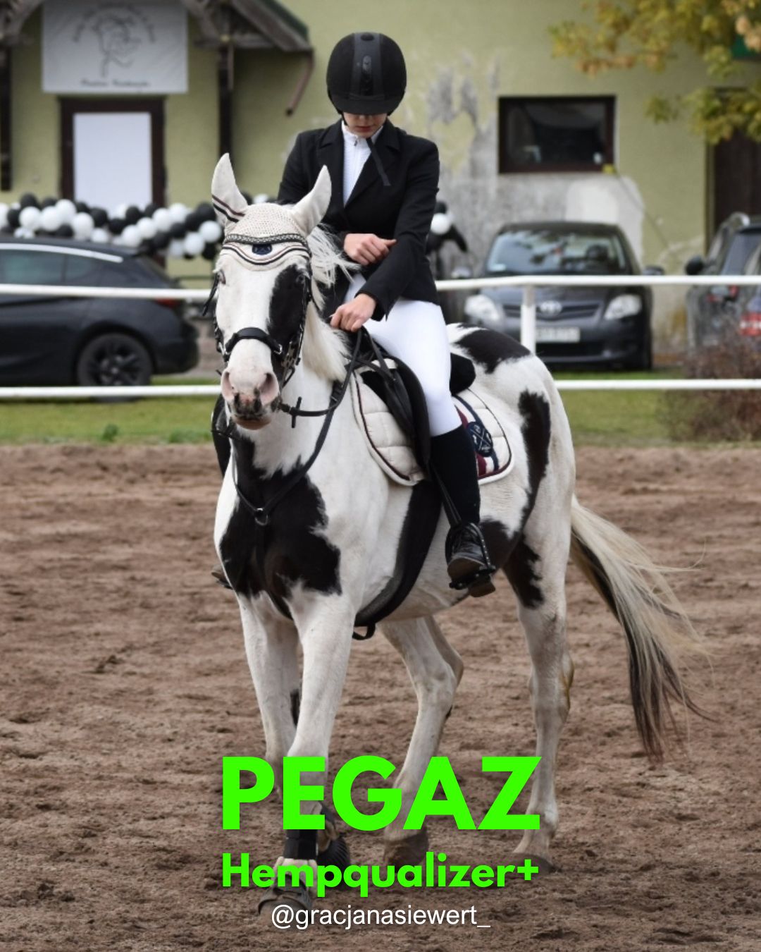 HEMPQUALIZER+ PEGAZ ŚLEPY KOŃ PO PRZEJŚCIACH