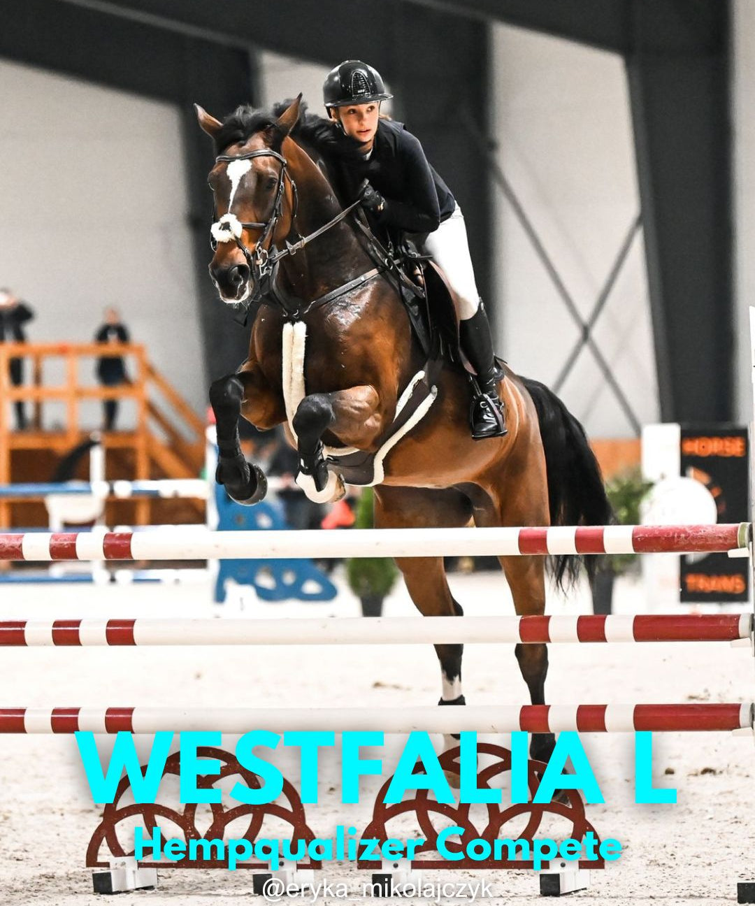 HEMPQUALIZER COMPETE WESTFALIA L SPOKÓJ I SKUPIENIE