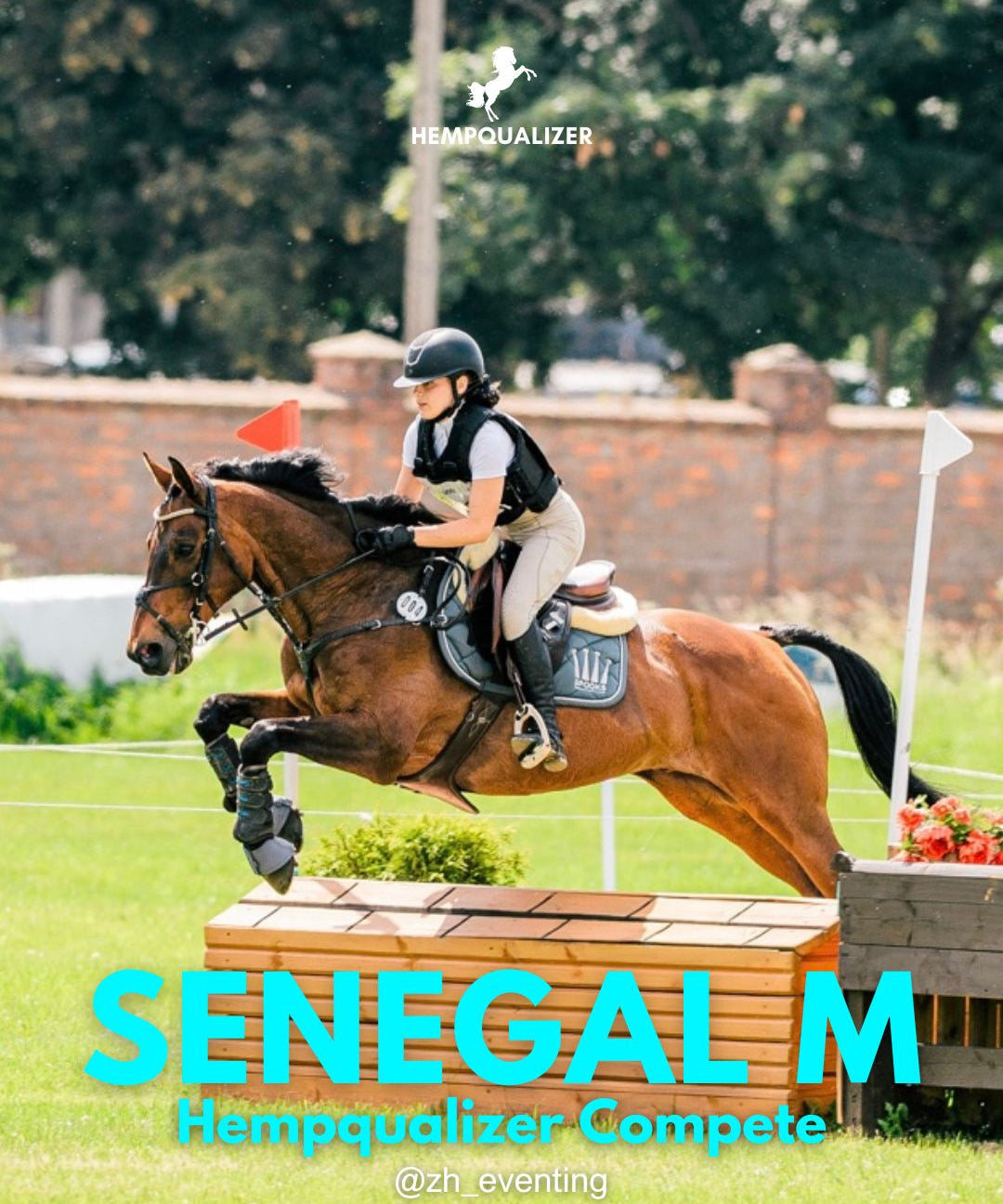 HEMPQUALIZER COMPETE SENEGAL M SPOKÓJ I KONCENTRACJA