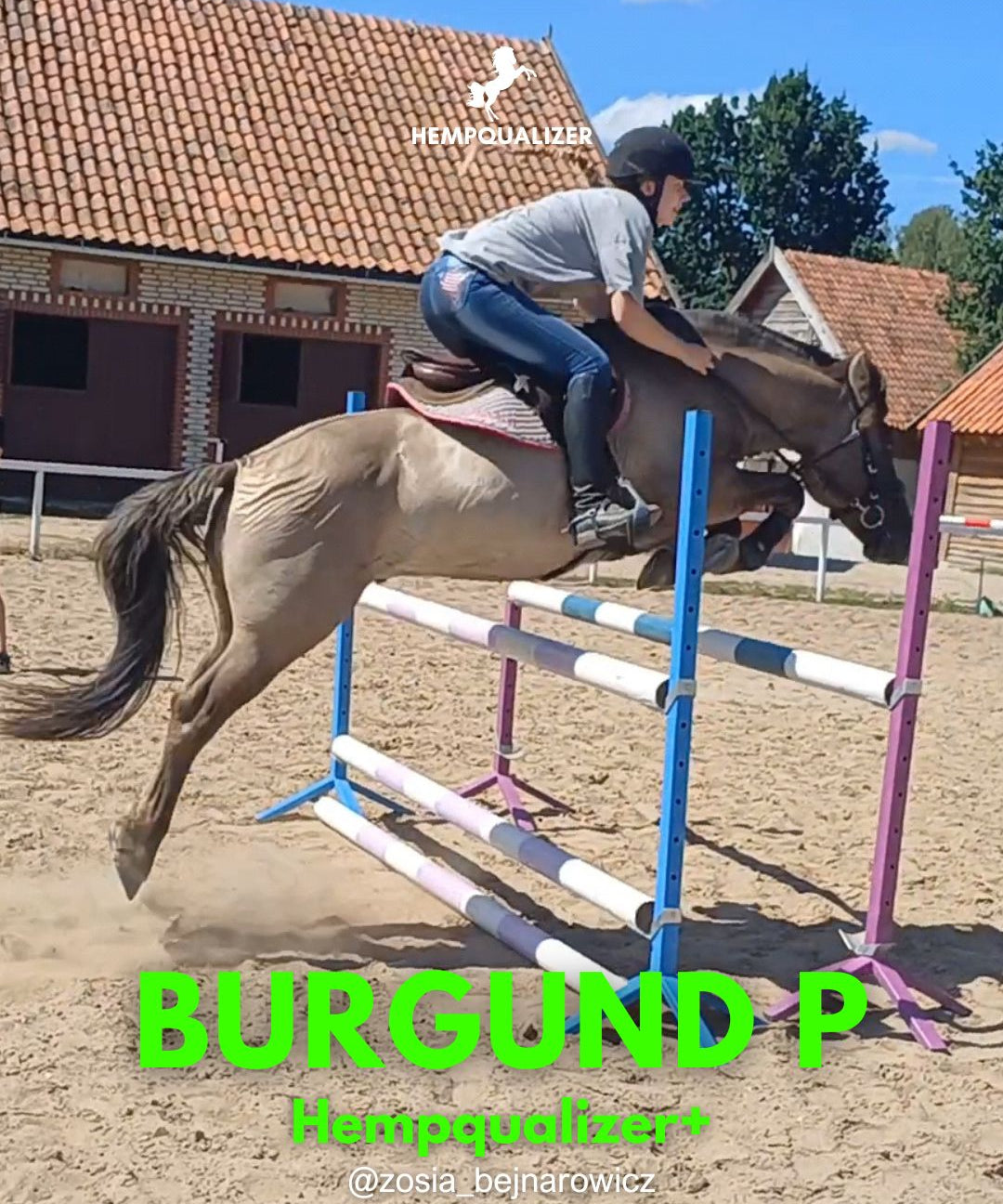 HEMPQUALIZER+ BURGUND P RAO/USPOKOJENIE/POPRAWA RUCHU