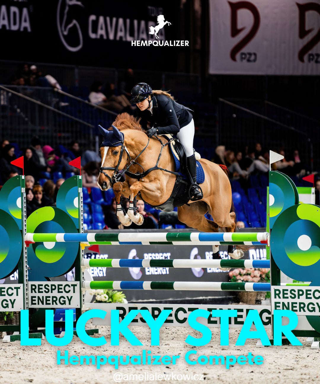 HEMPQUALIZER COMPETE LUCKY STAR W USPOKOJENIE