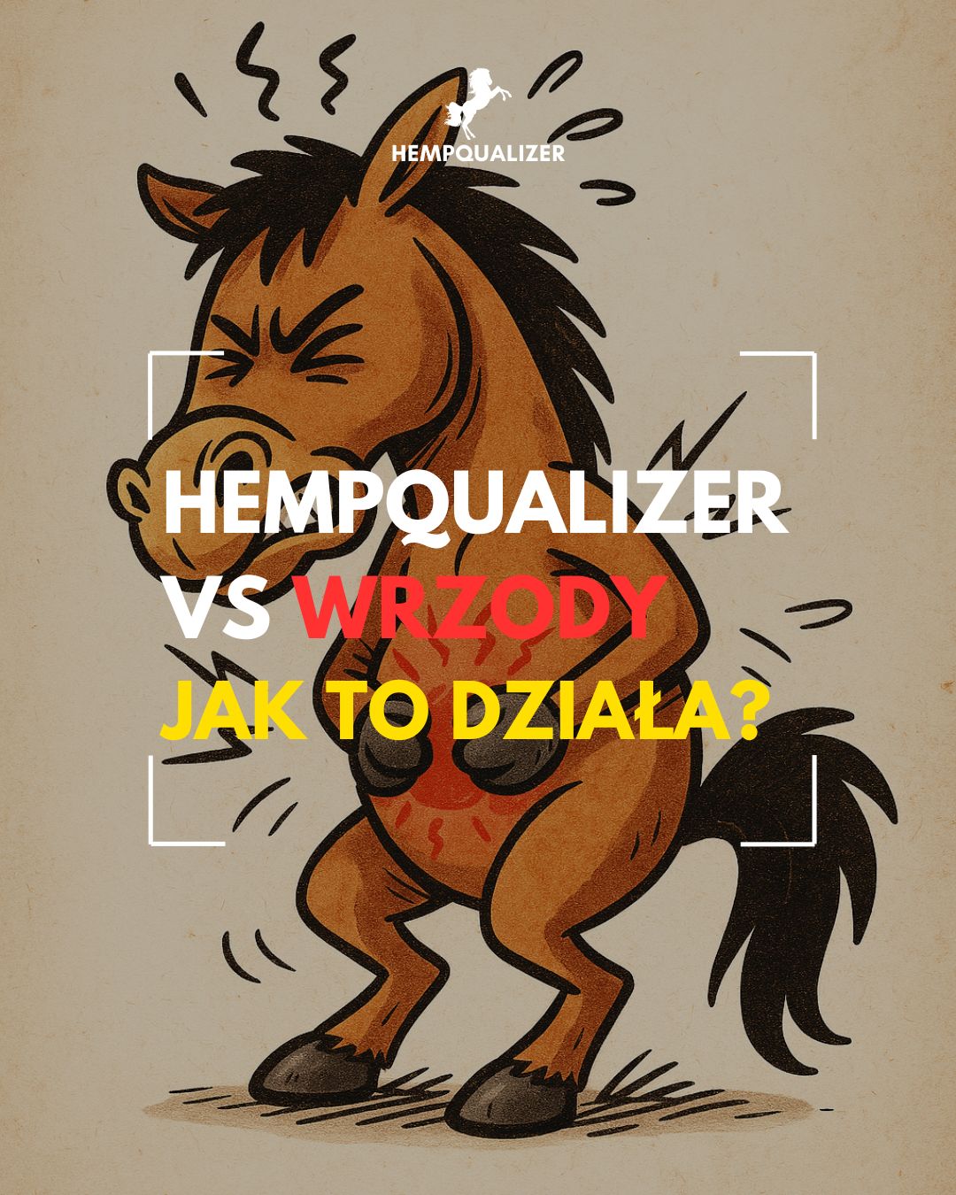HEMPQUALIZER VS WRZODY U KONI