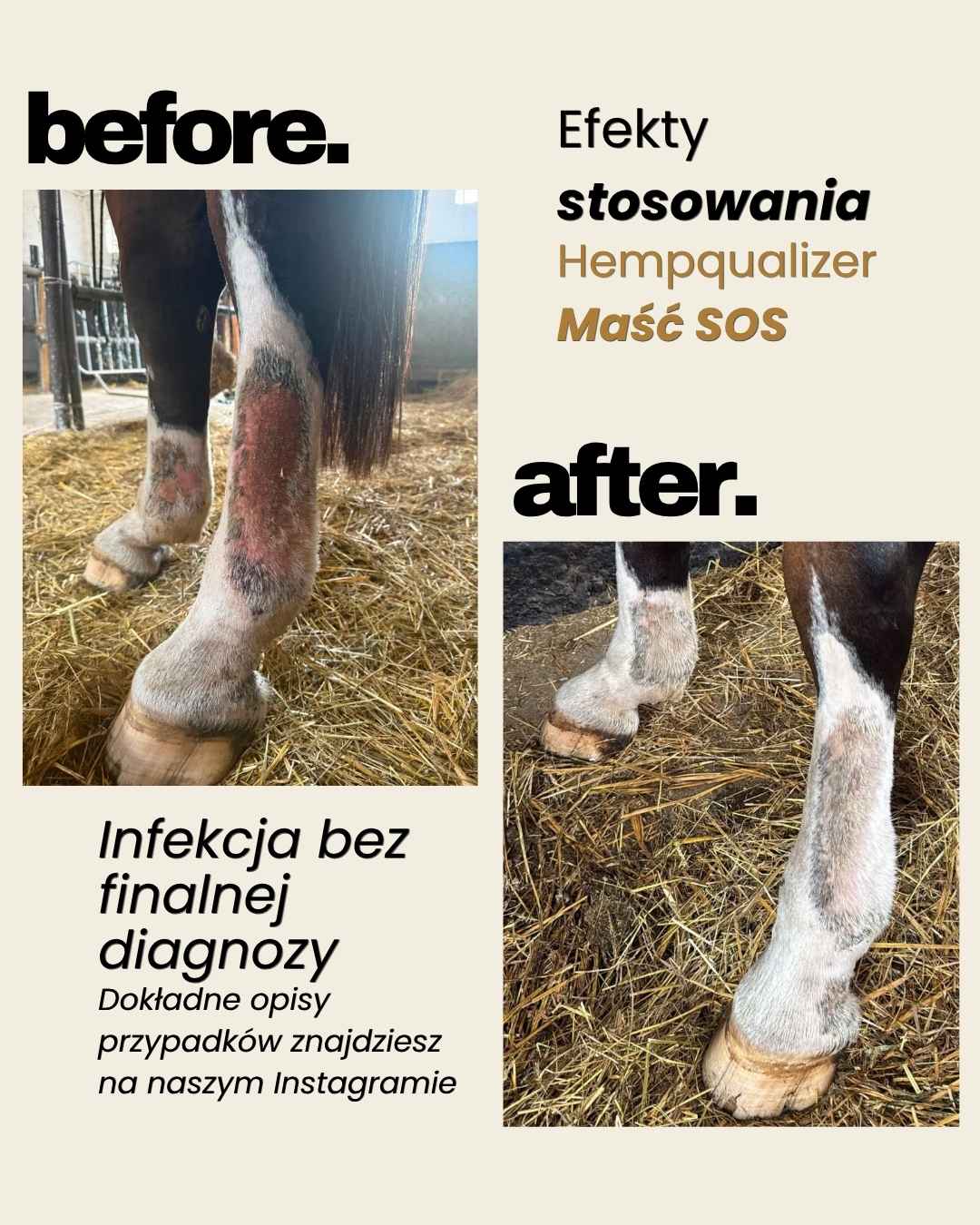 Immagine diapositiva