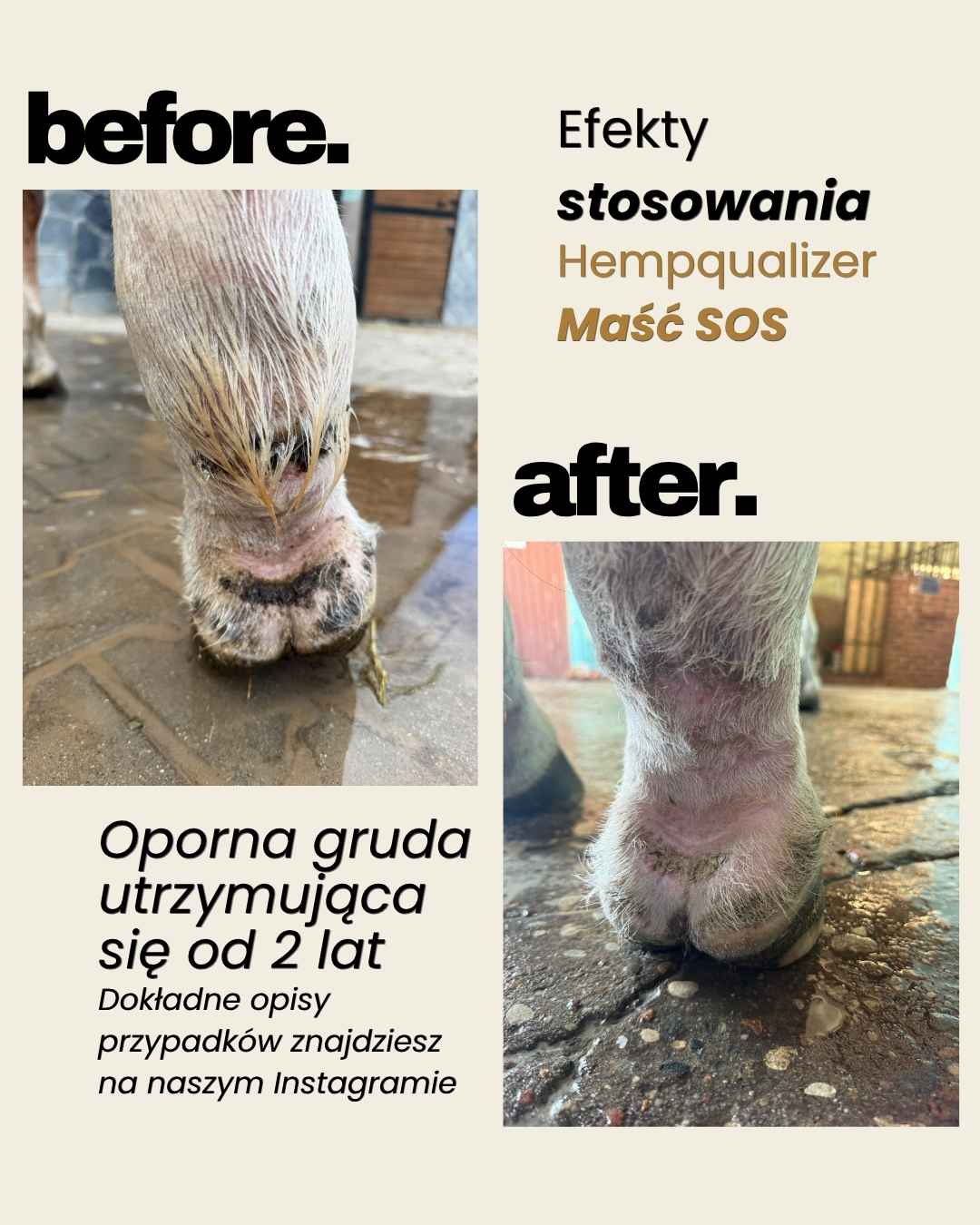 Immagine diapositiva