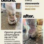 Immagine diapositiva