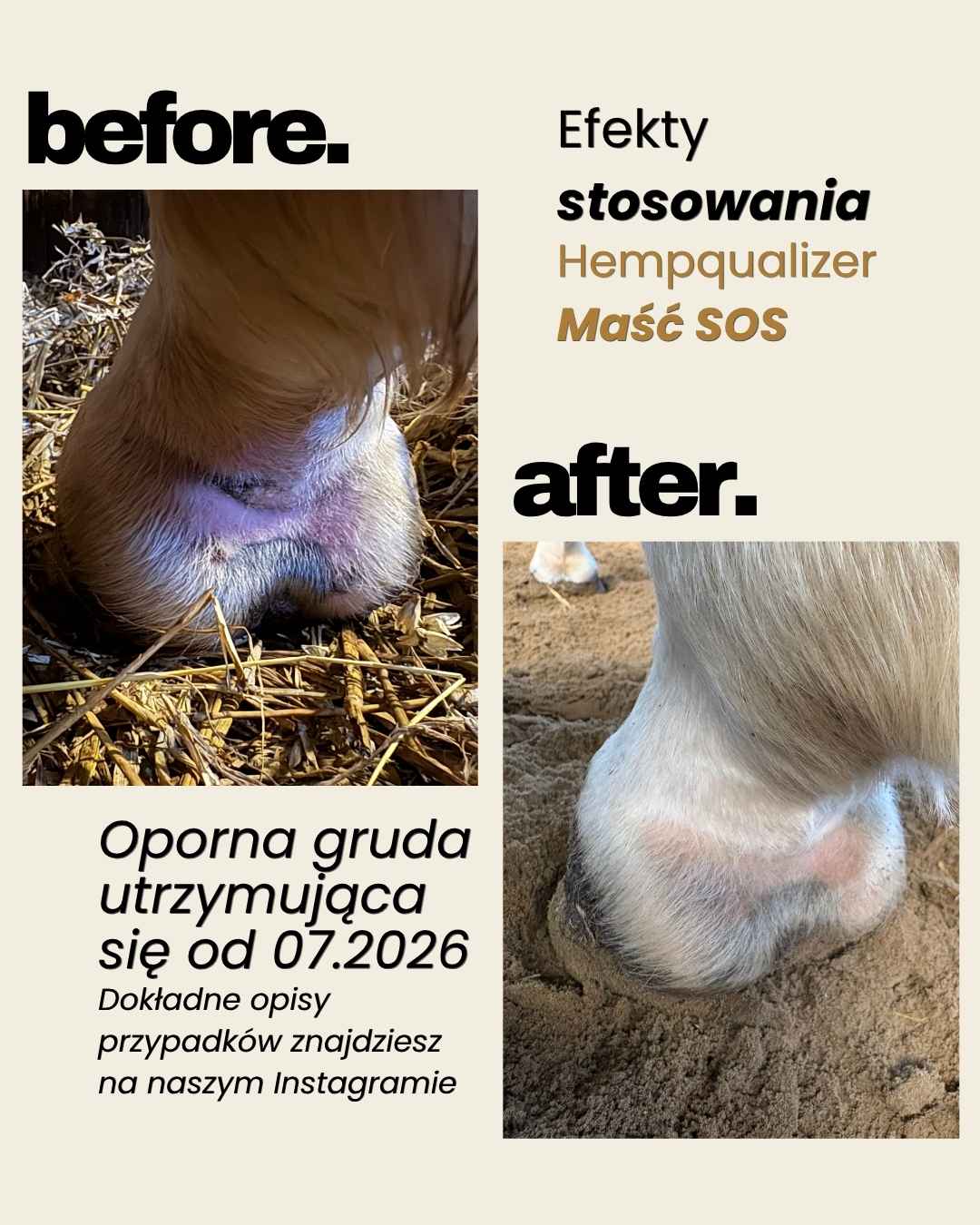 Immagine diapositiva