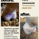Immagine diapositiva