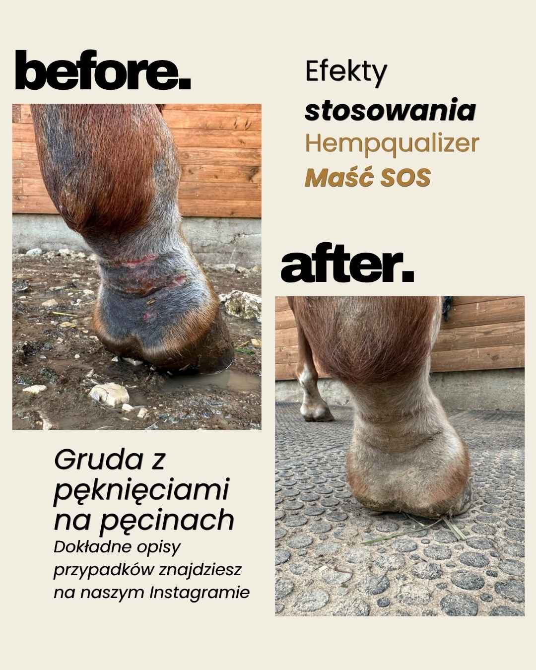 Immagine diapositiva