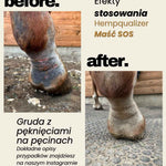 Immagine diapositiva