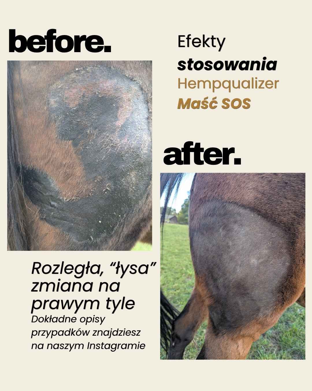 Immagine diapositiva